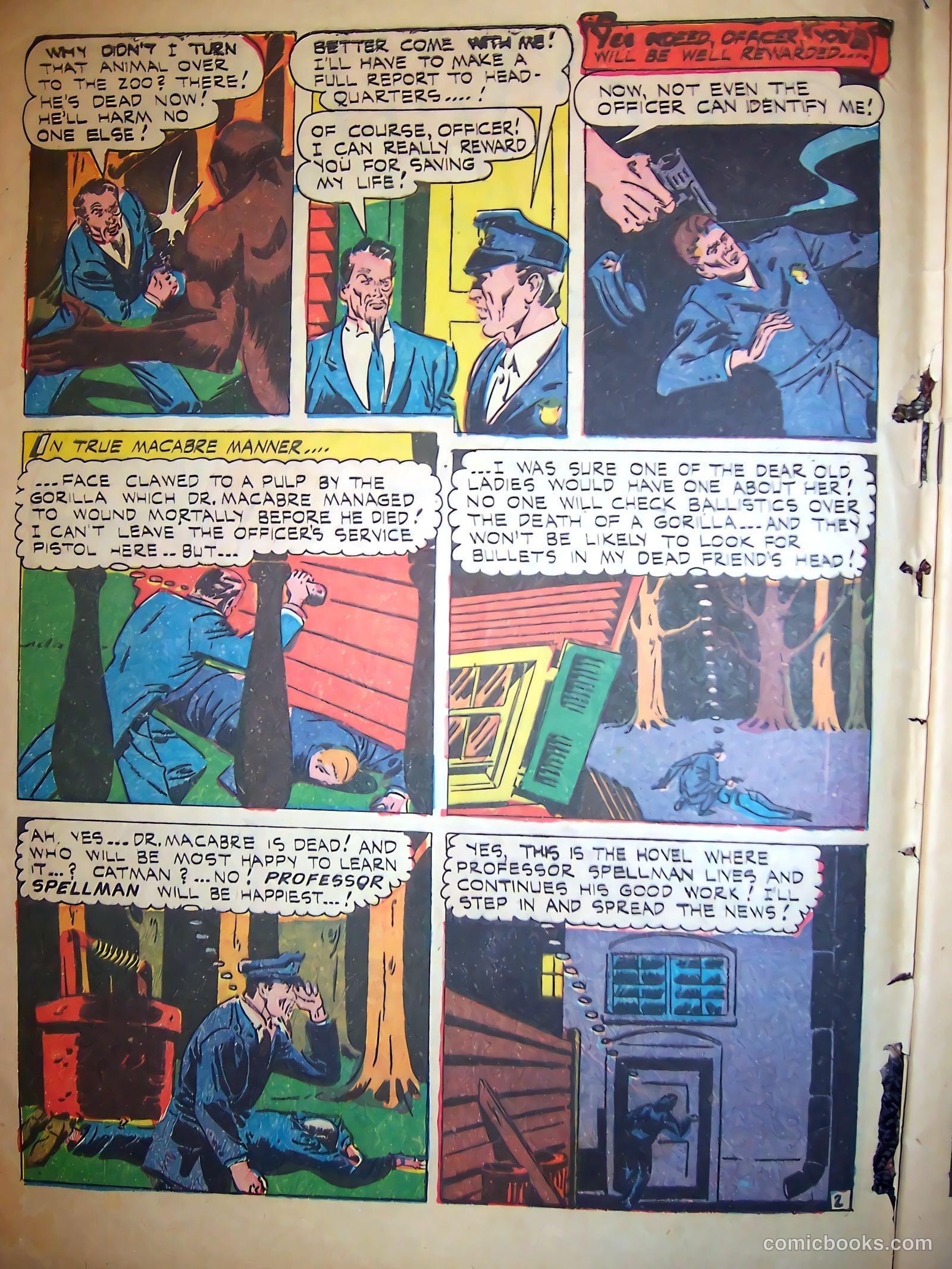 Cat-Man Comics #31 (1946) — page 3 of 45