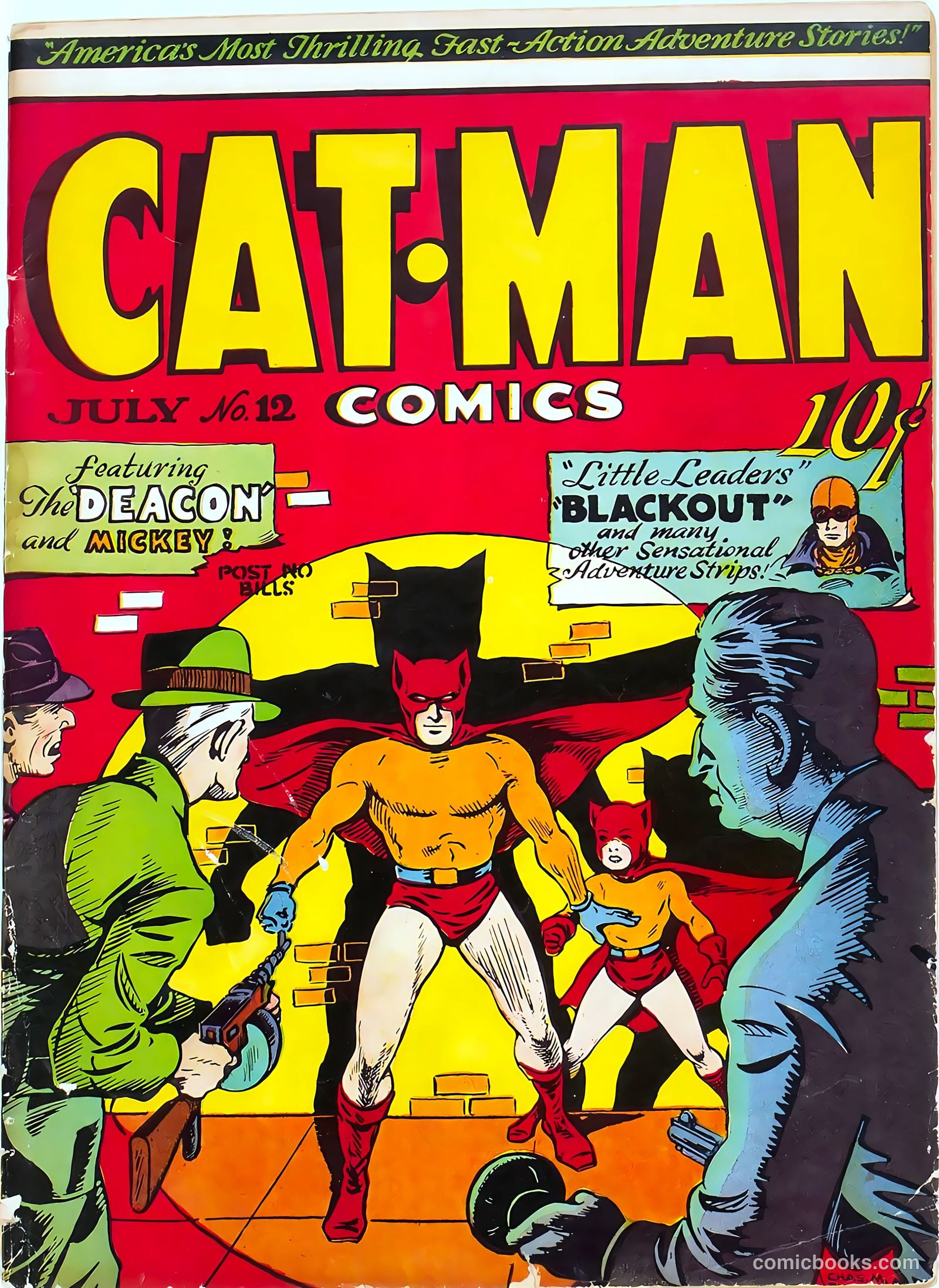 Catman #12 cover