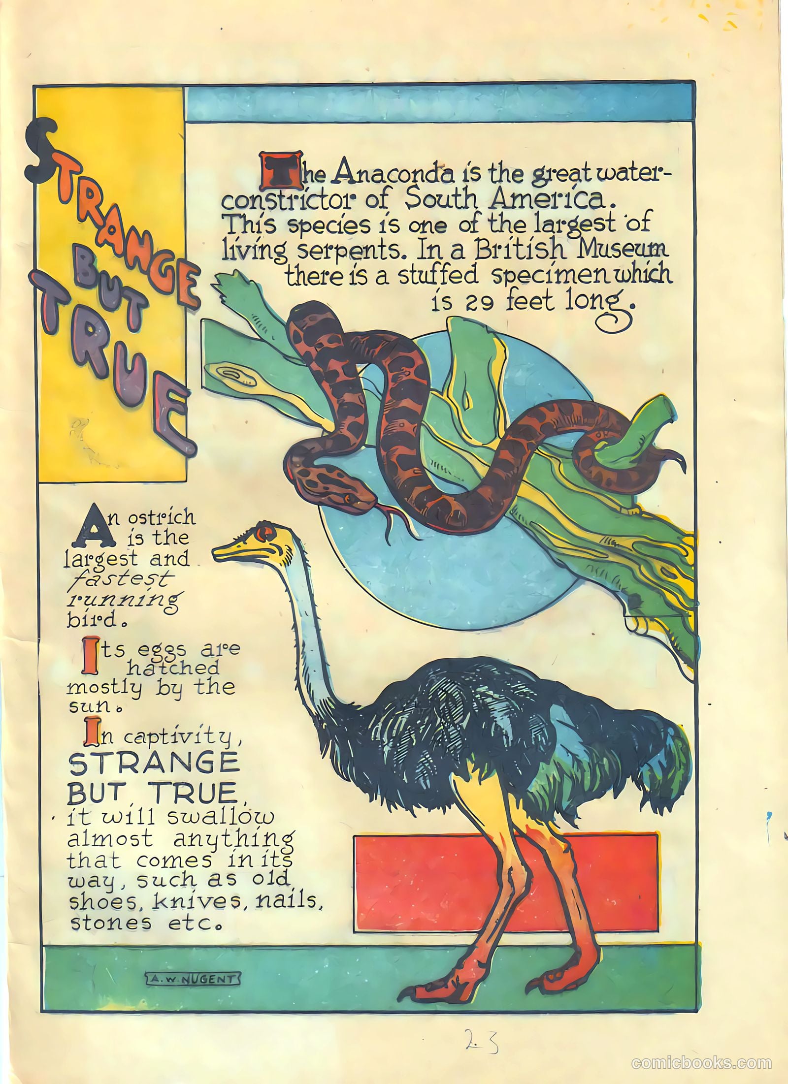 Circus of Fun Comics #3 (1947) — page 22 of 35
