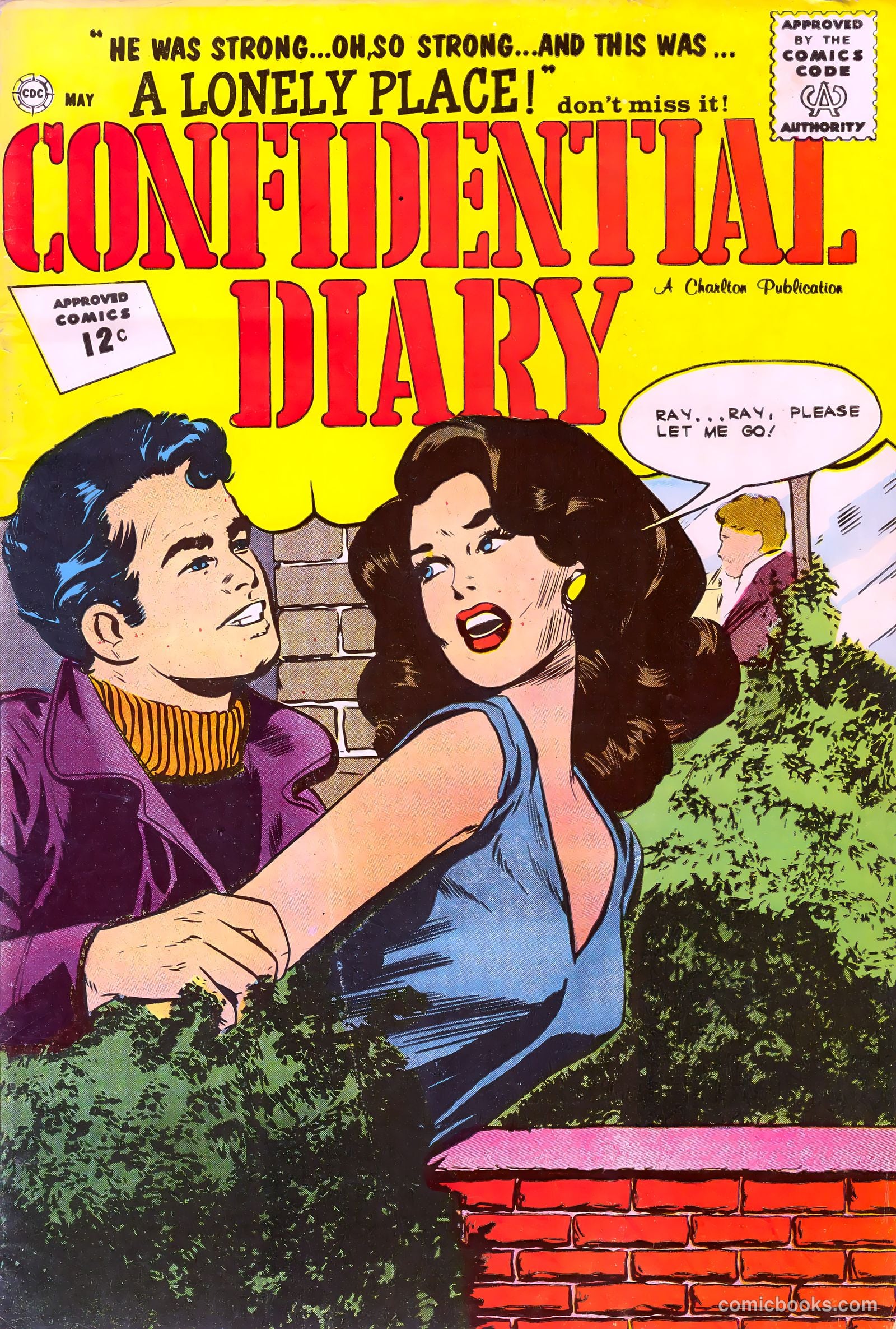 Confidential Diary