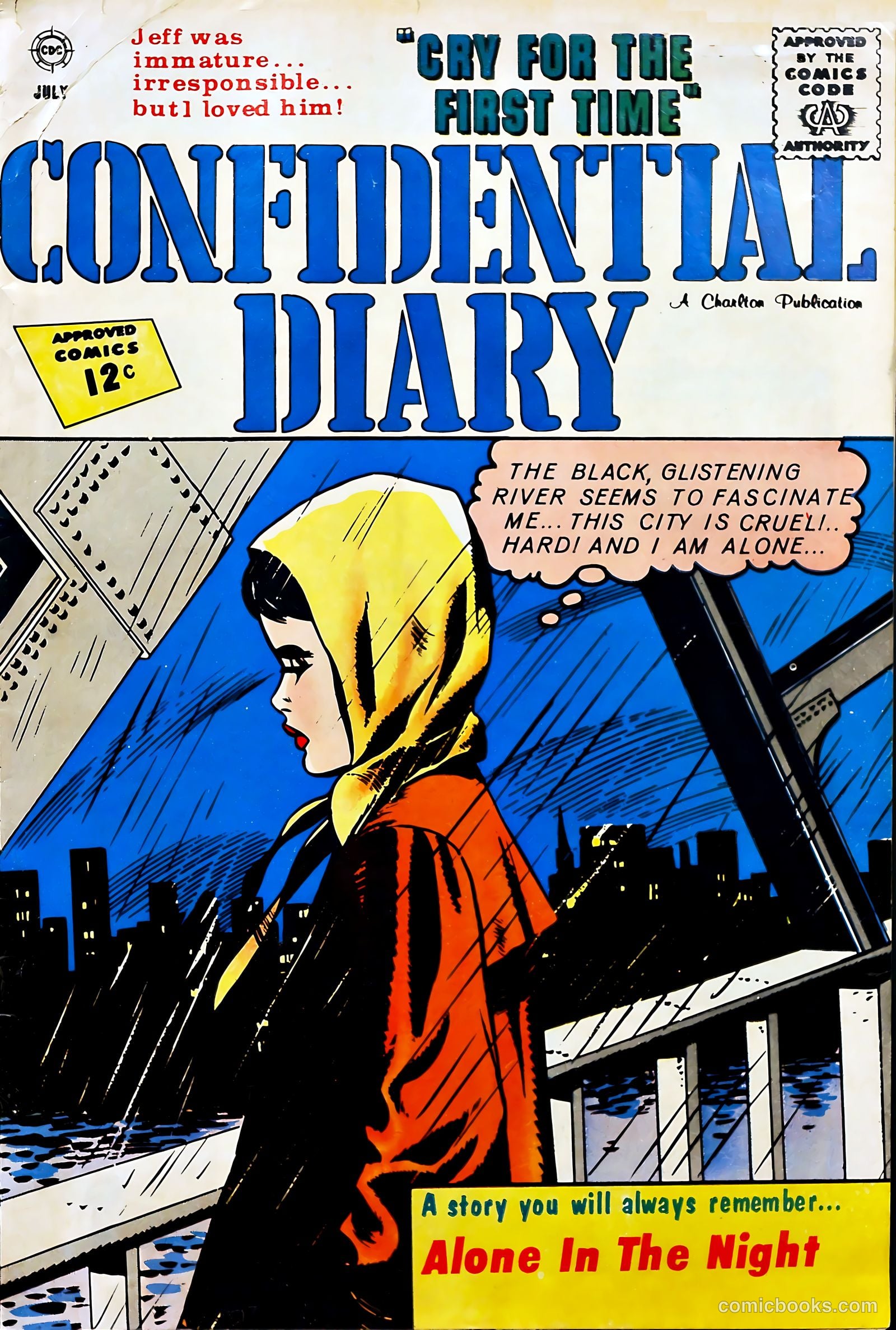 Confidential Diary #13 cover