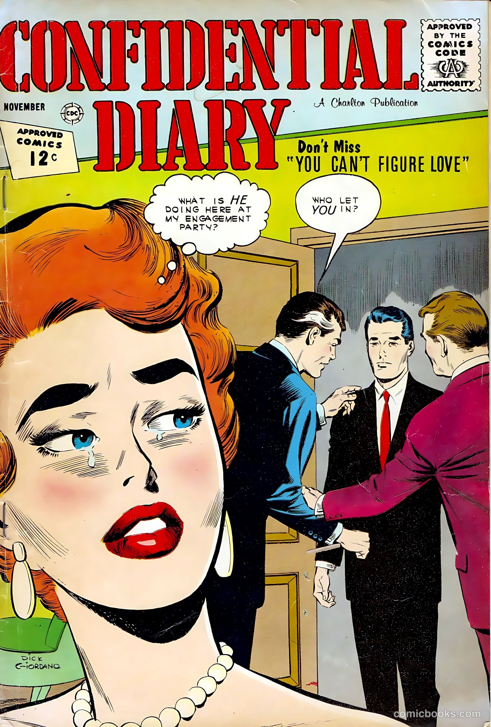 Confidential Diary #15 cover