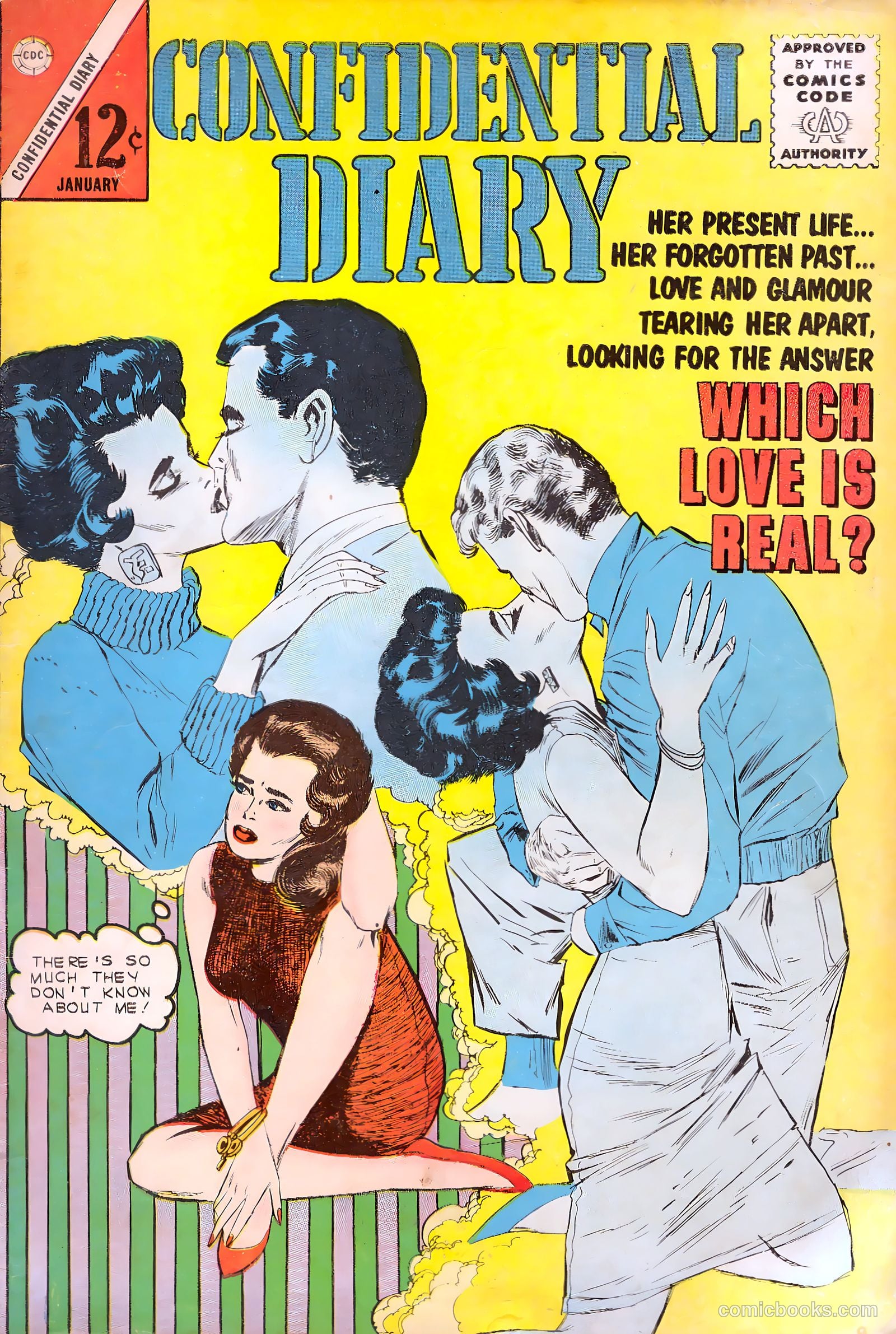 Confidential Diary #16 cover