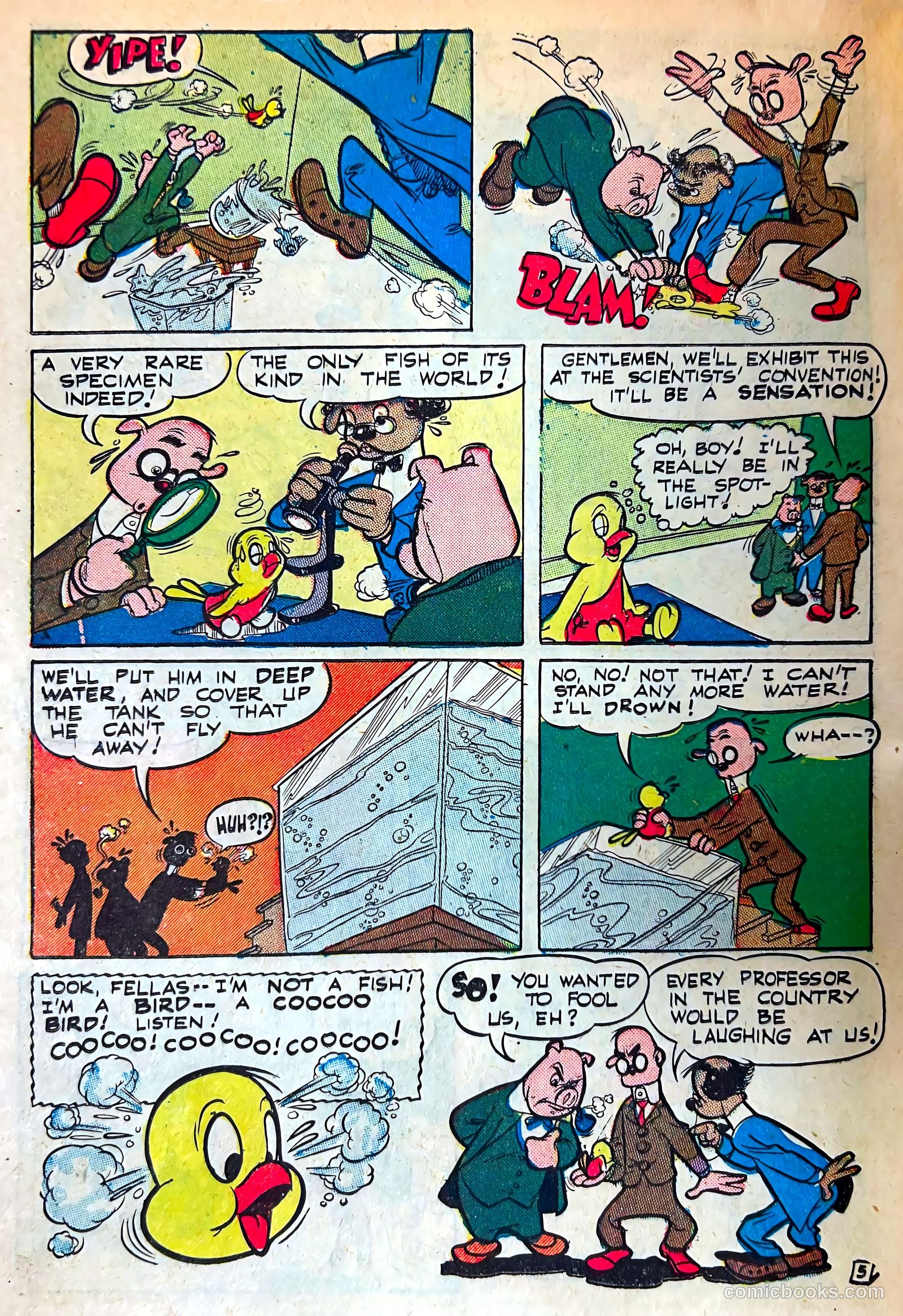 Coo Coo, the Bird Brain #60 (1951) — page 22 of 36