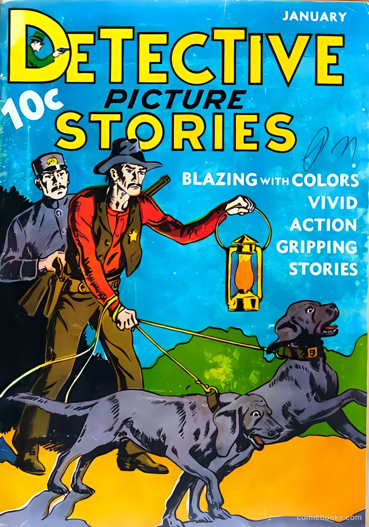 Detective Picture Stories #2 cover