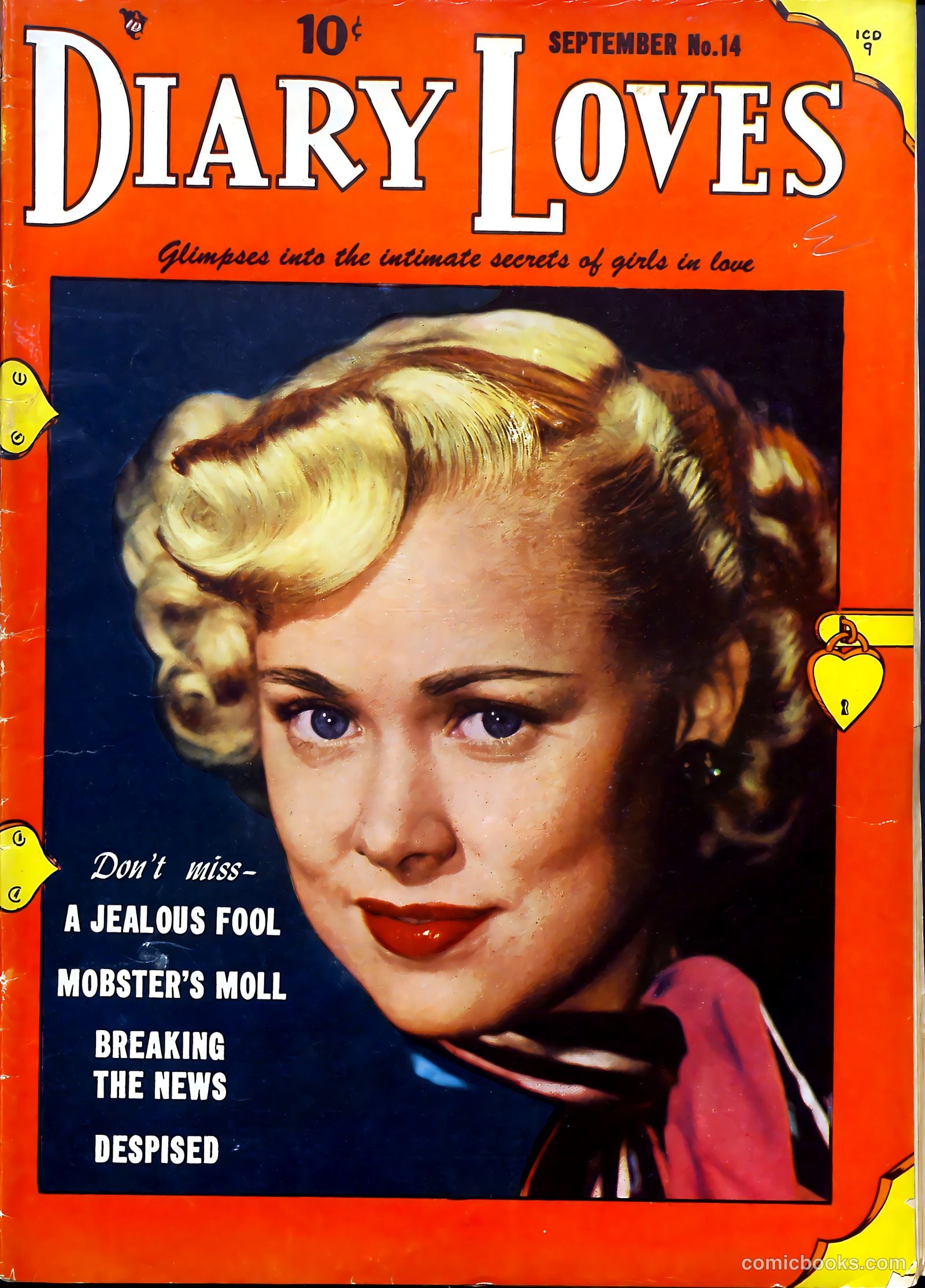 Diary Loves #14 cover