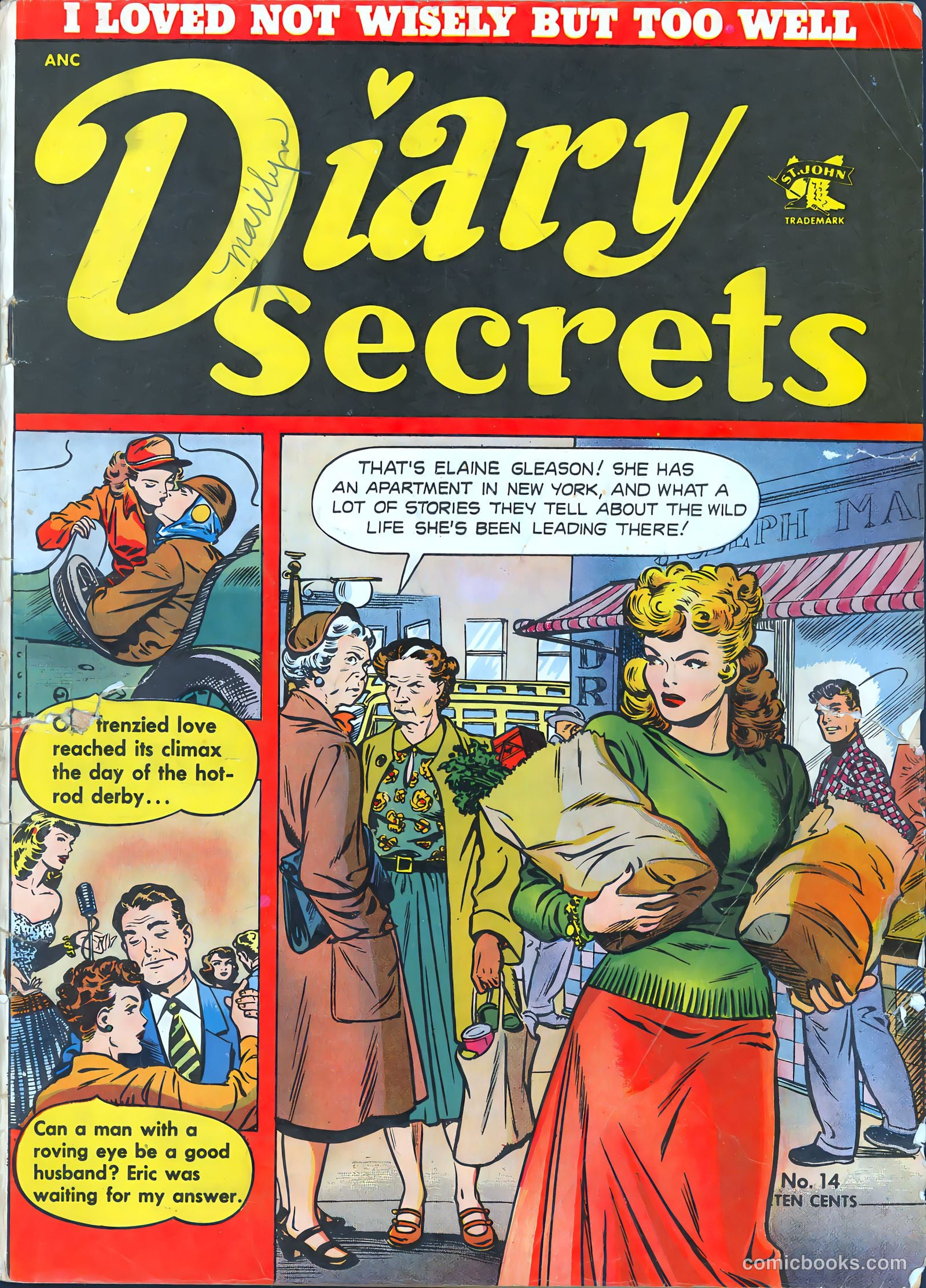 Diary Secrets #14