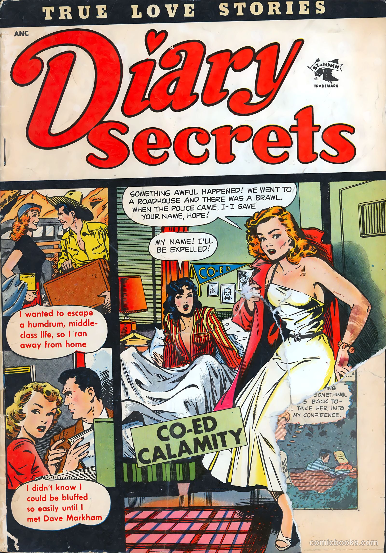 Diary Secrets #15
