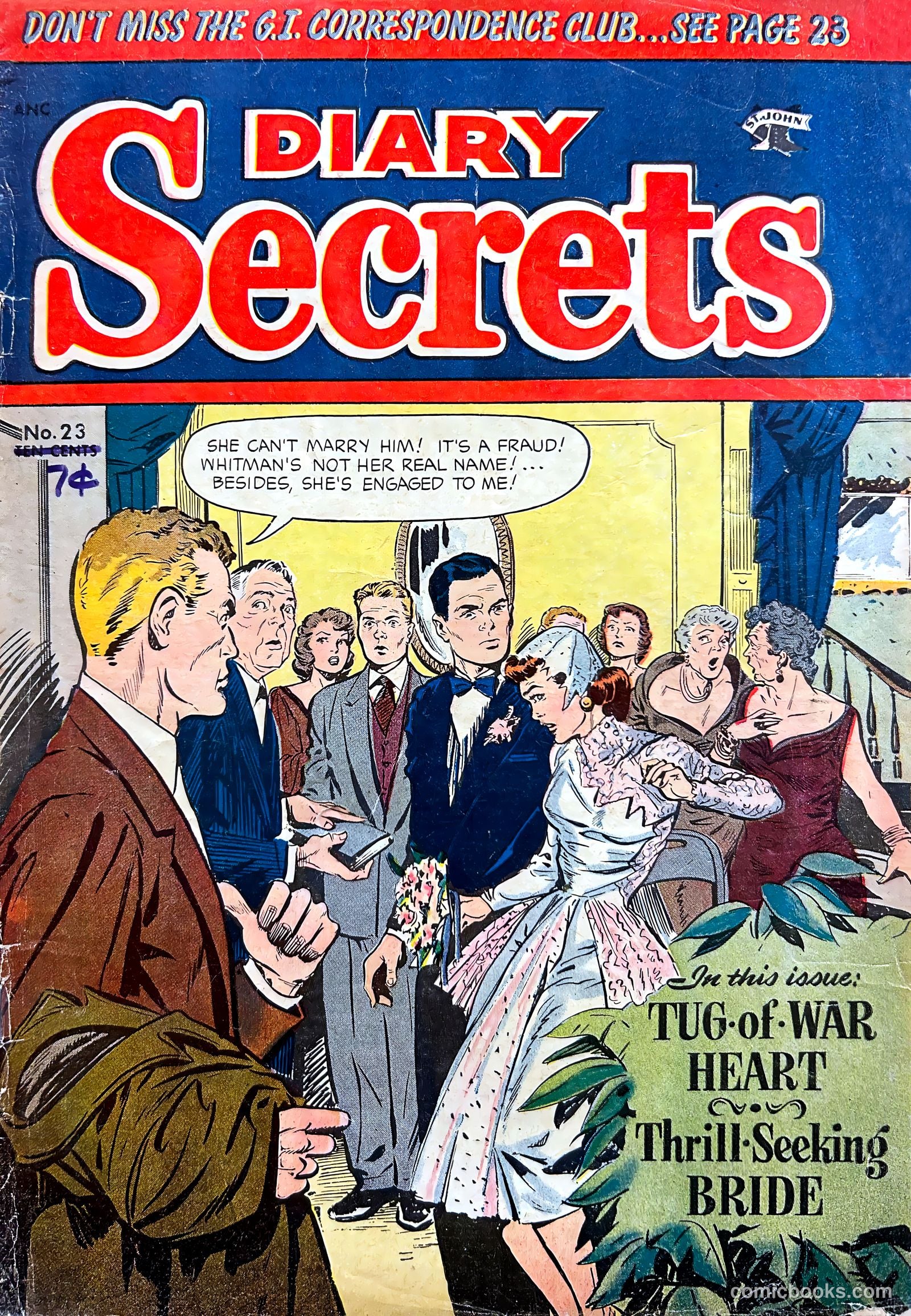 Diary Secrets #23