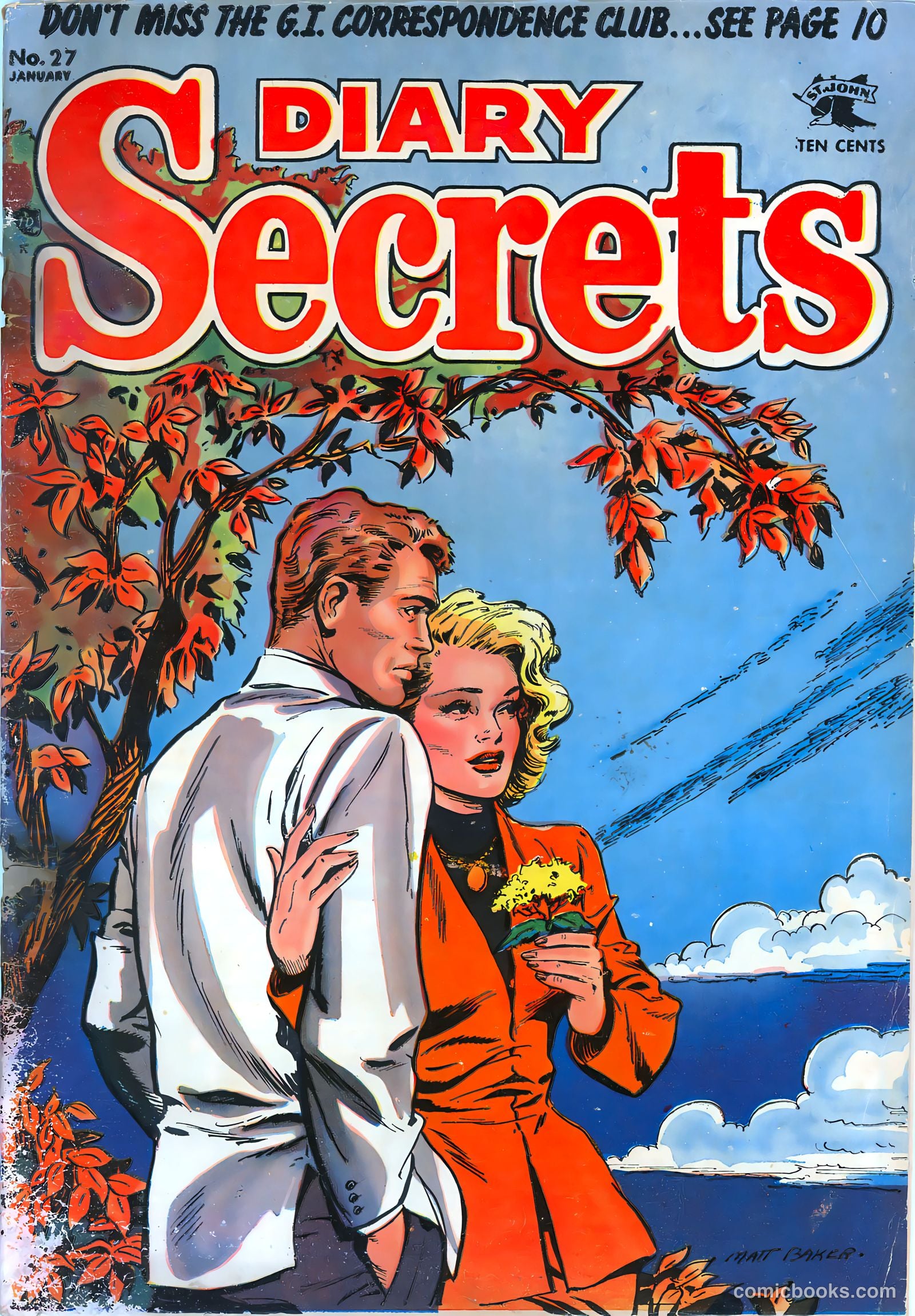 Diary Secrets #27