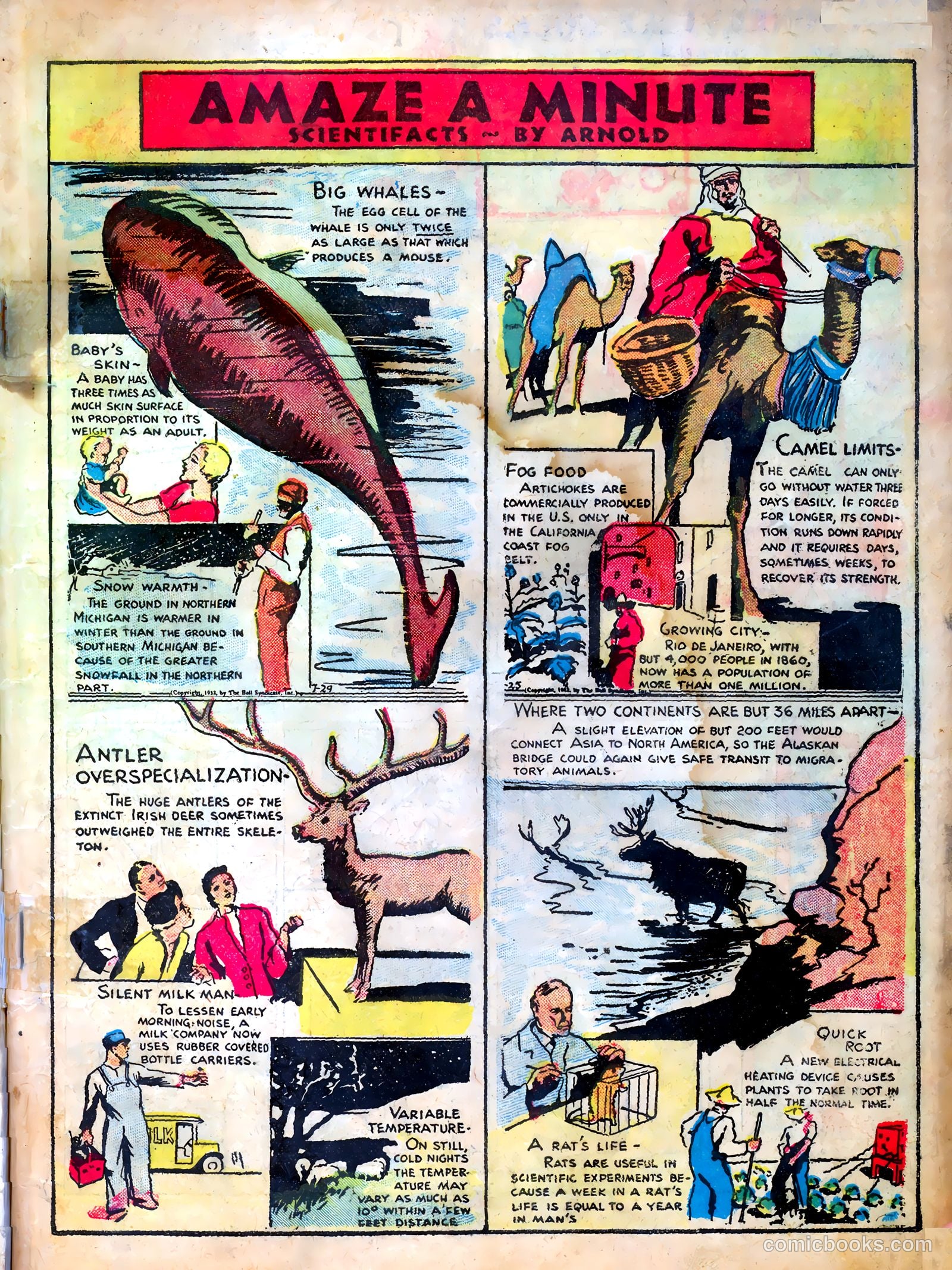 Famous Funnies #1 (1934, The Eastern Color Printing Company) — page 3 of 68