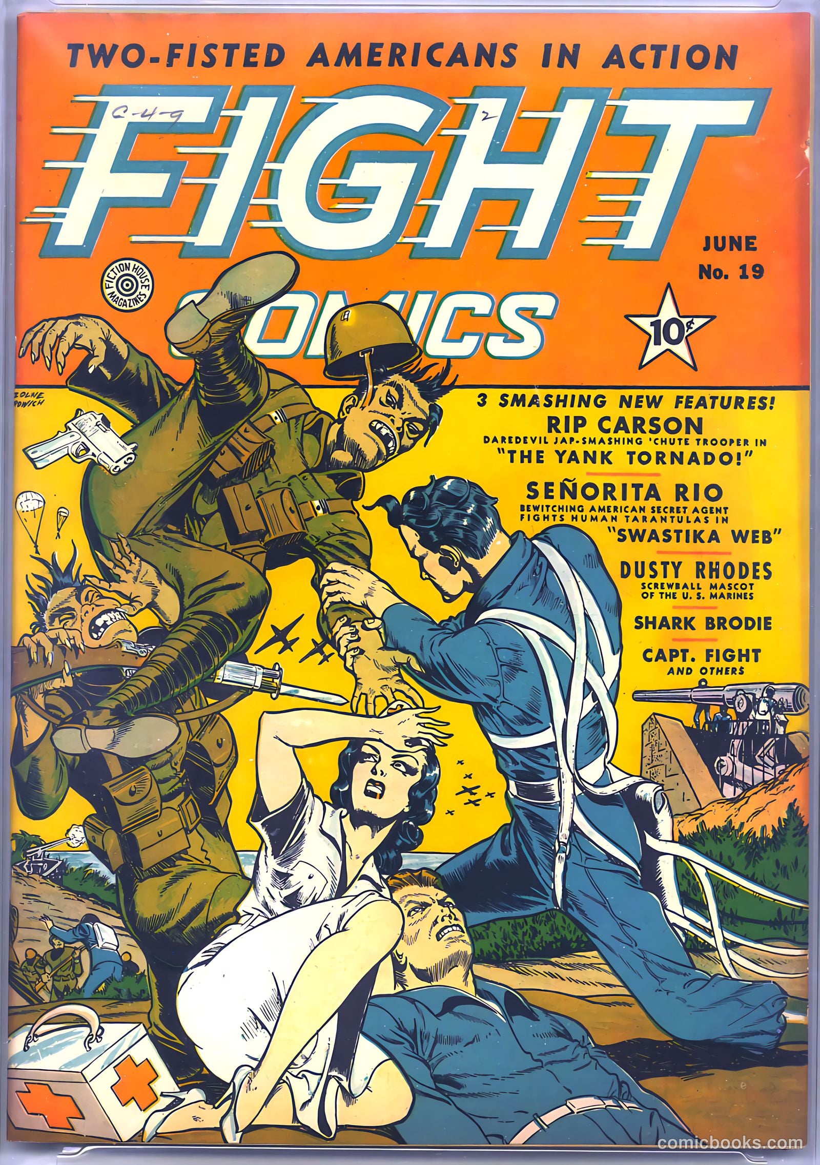 Fight Comics #19