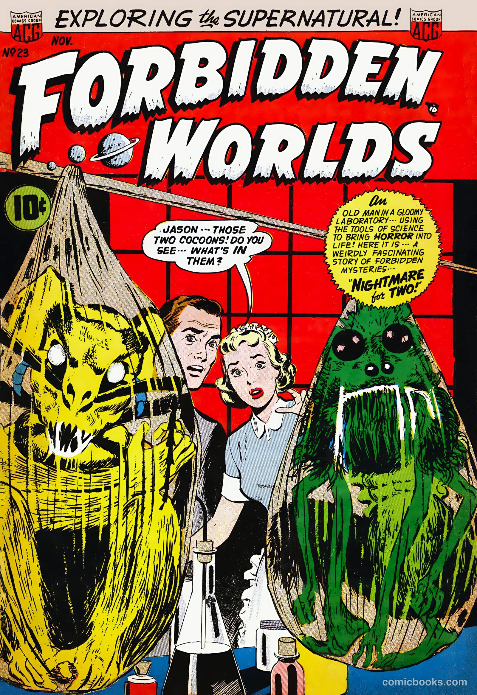 Forbidden Worlds #13