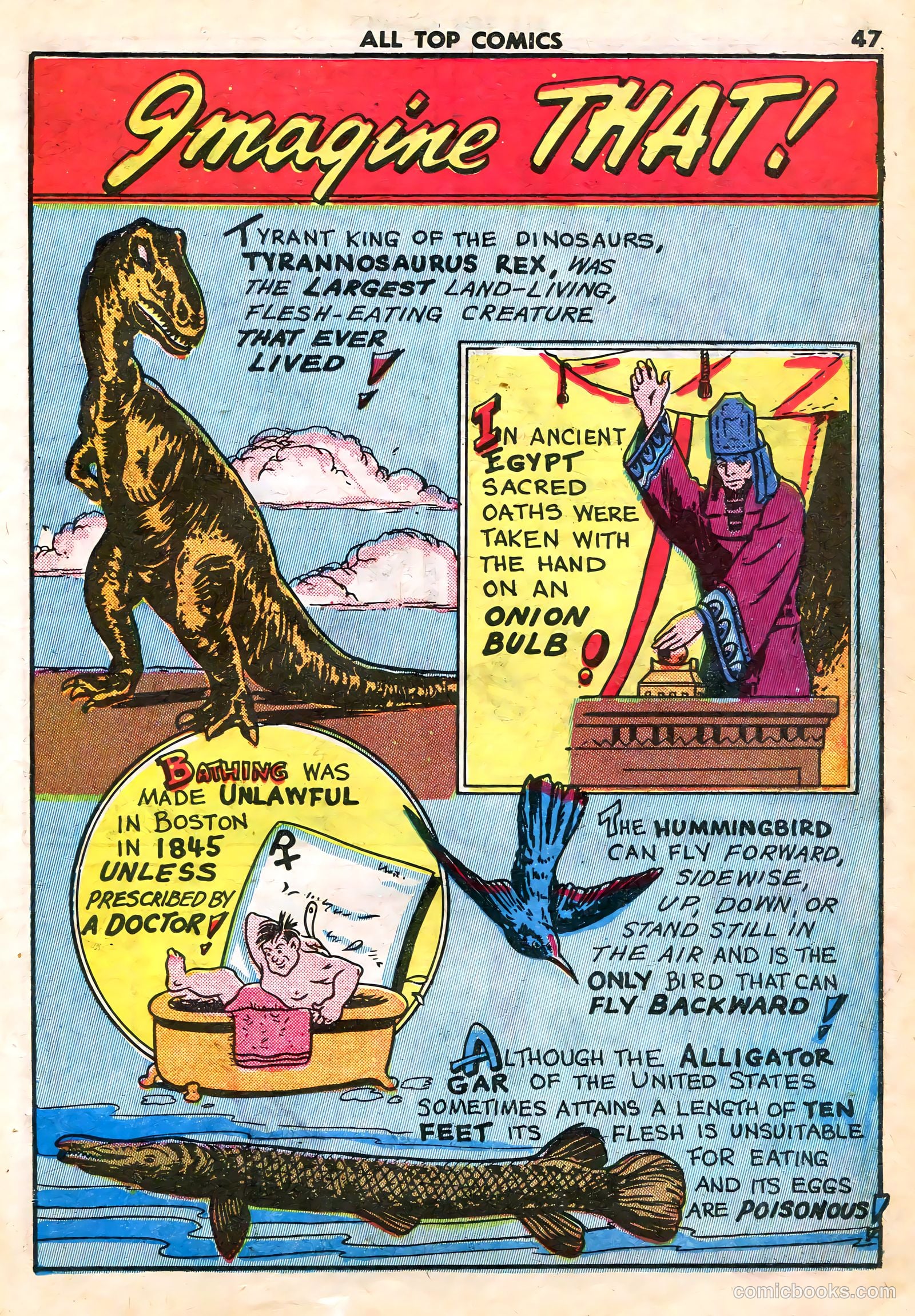 All Top Comics #1 (1946) — page 49 of 131