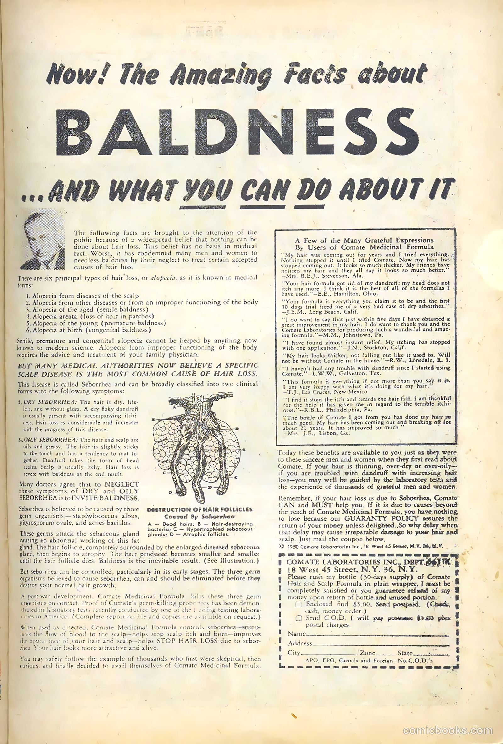 Frontier Scout, Dan'l Boone #11 (1956, Charlton) — page 15 of 36