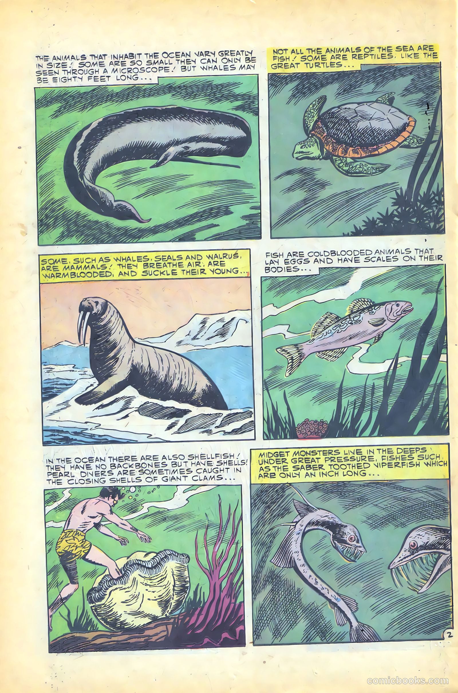 Gorgo #1 (1960) — page 26