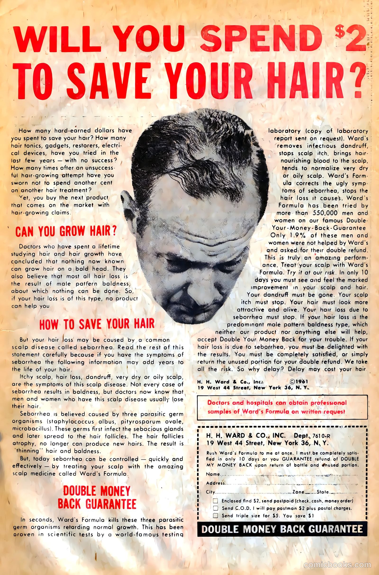 Gorgo #11 (1963) — page 31