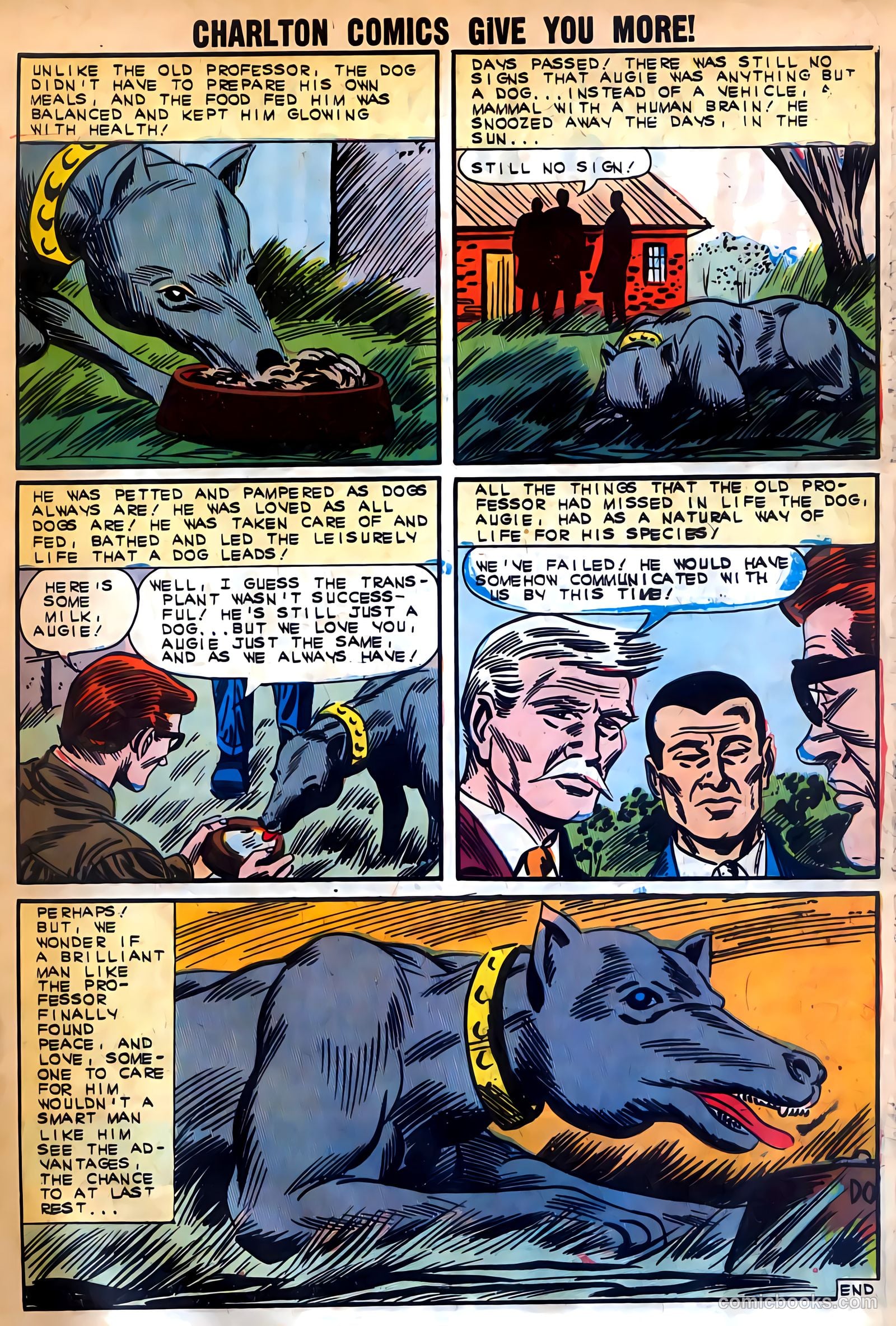 Gorgo #15 (1963) — page 33