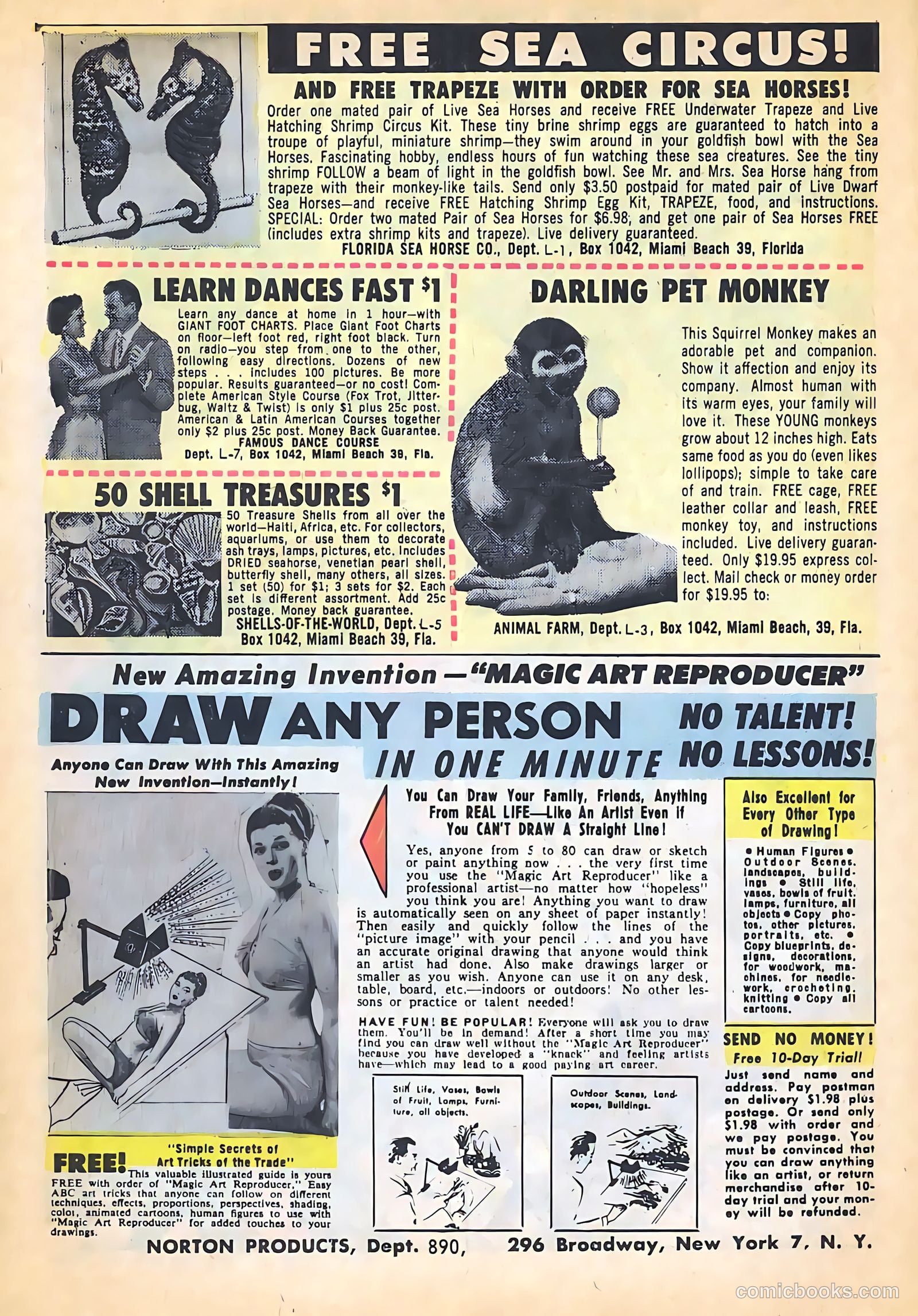Gorgo #16 (1963) — page 6