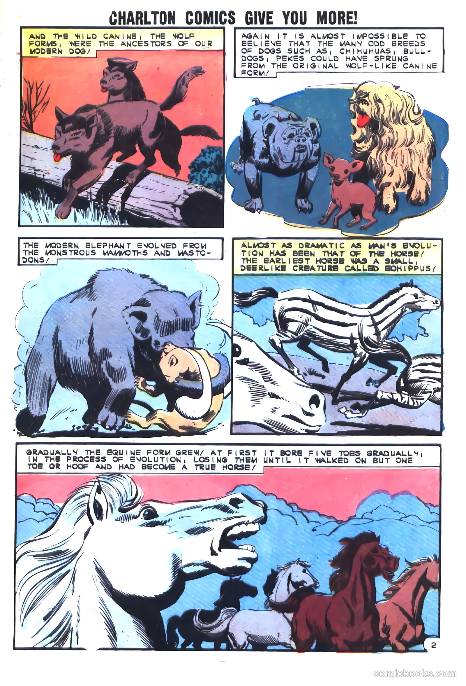 Gorgo #17 (1964) — page 29