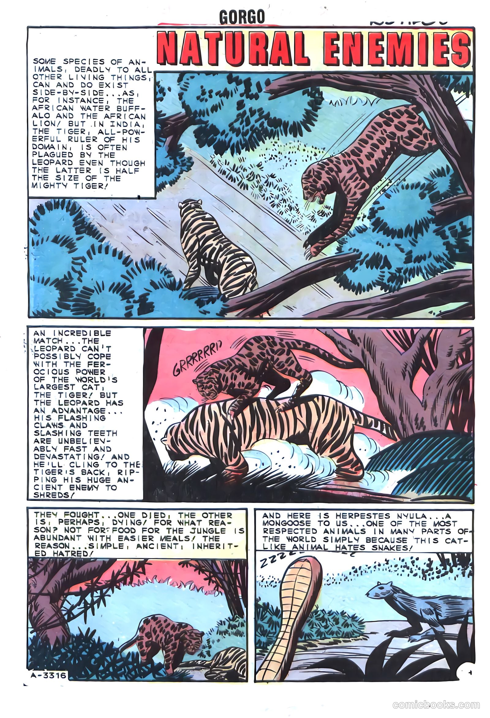 Gorgo #17 (1964) — page 32