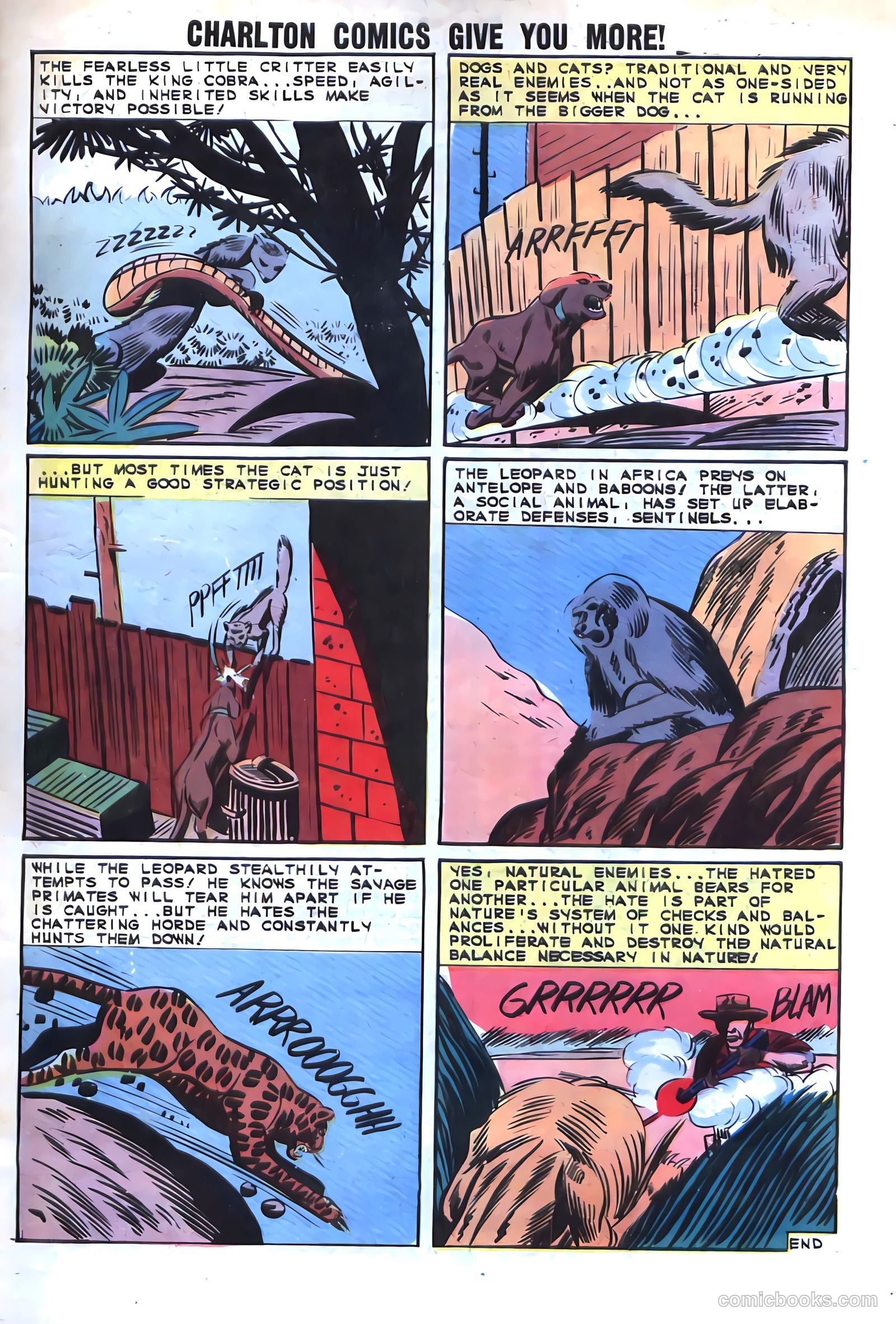 Gorgo #17 (1964) — page 33