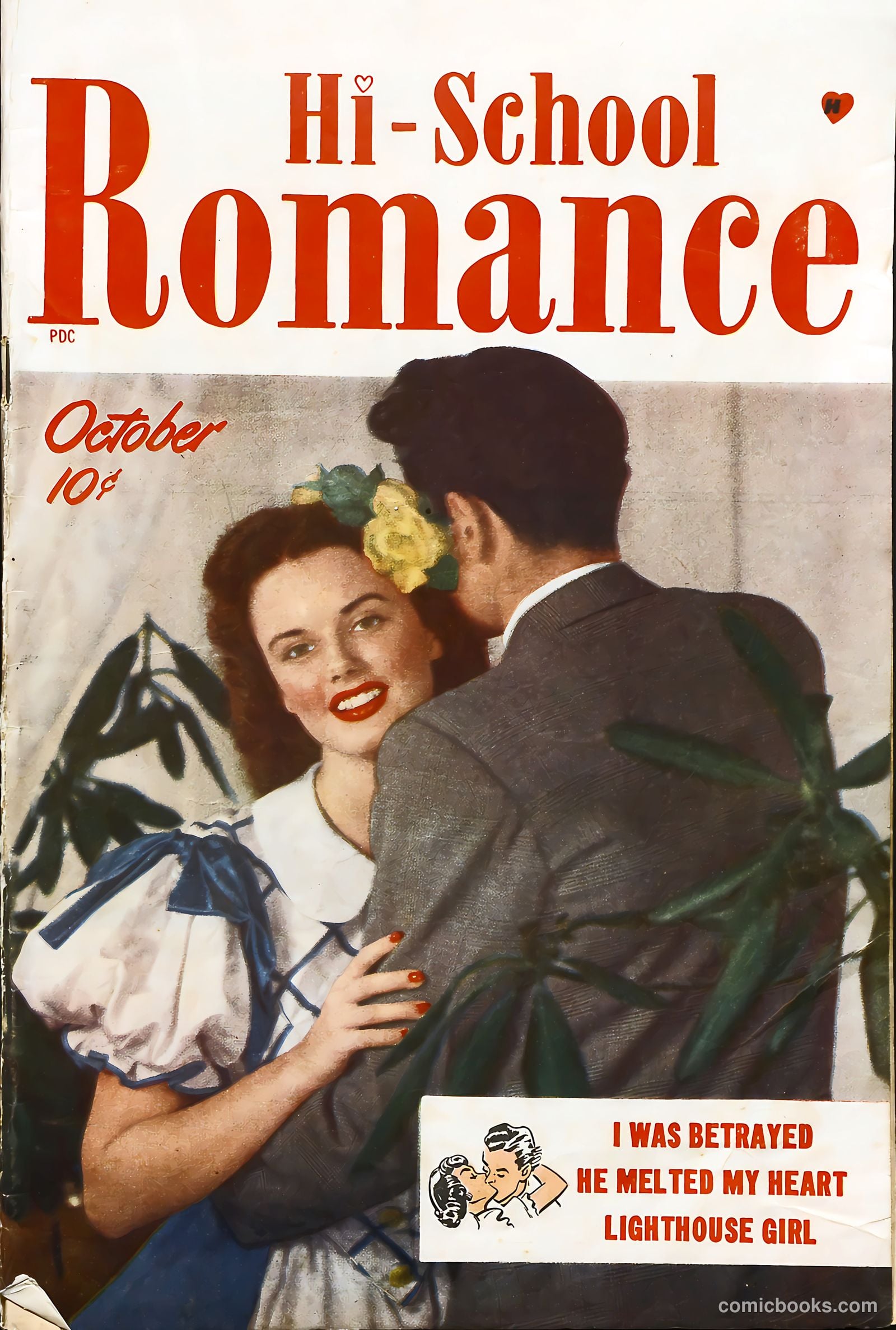 Hi-School Romance