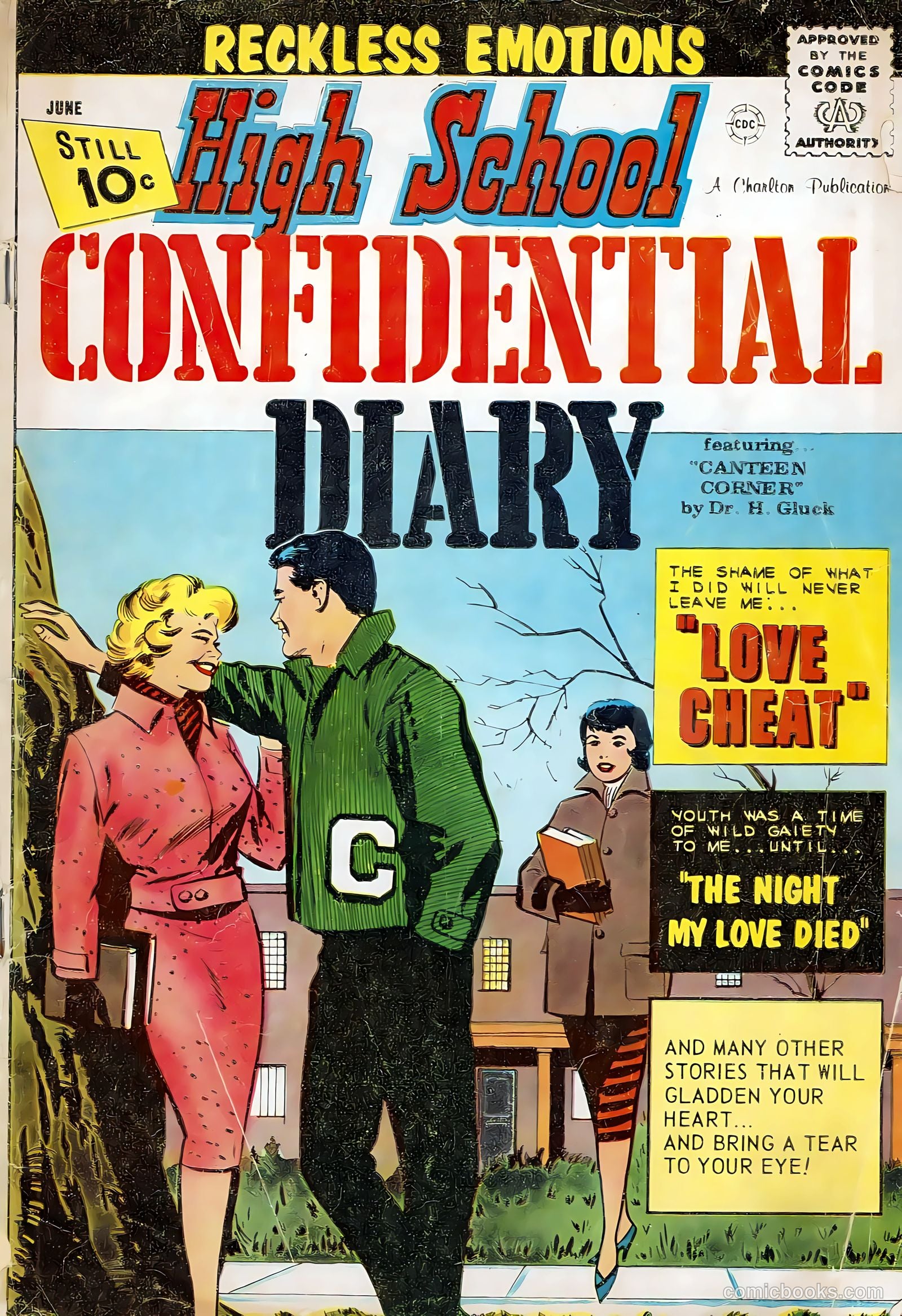 High School Confidential Diary #7 cover
