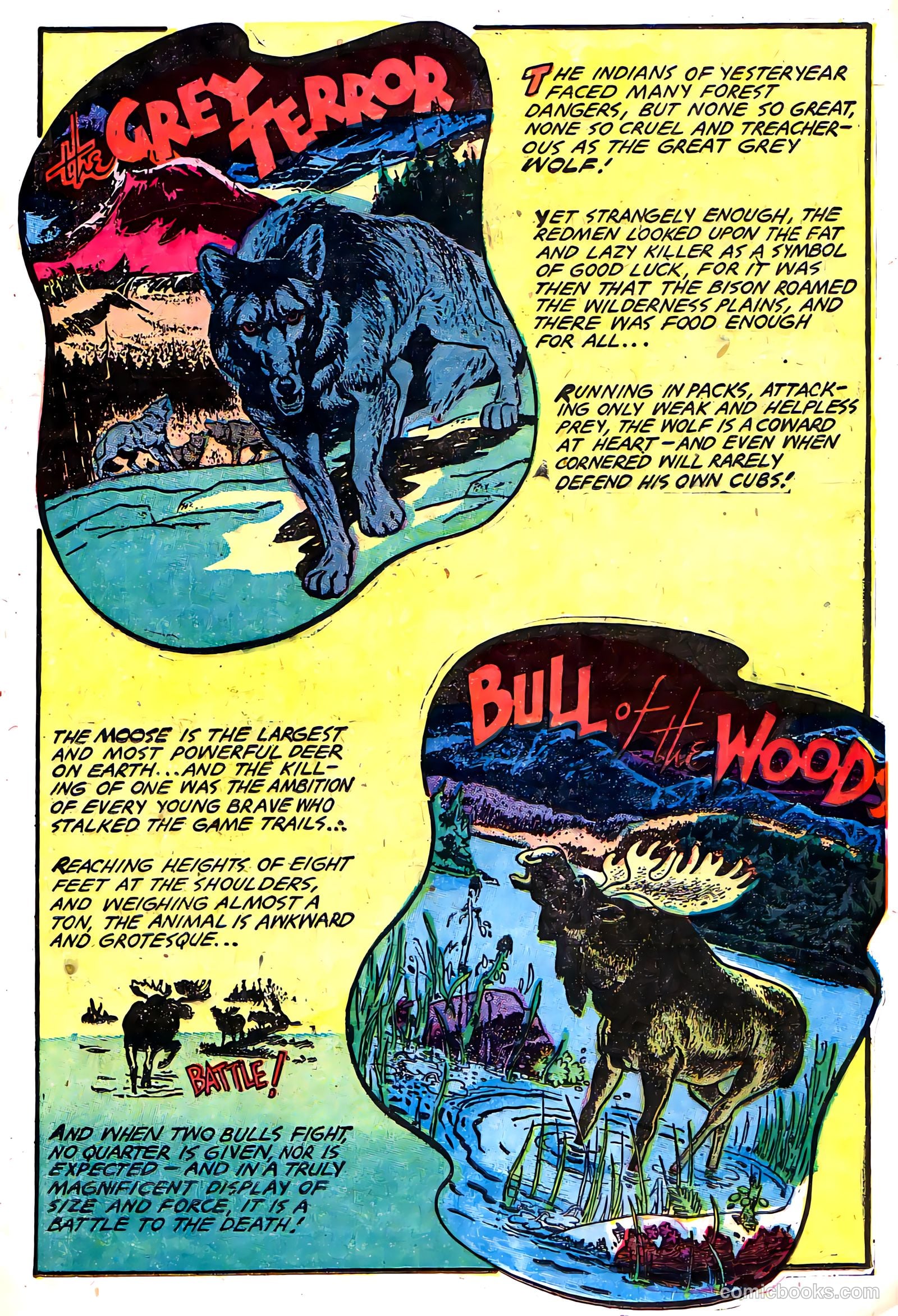 Indians #11 (1952) — page 17 of 35