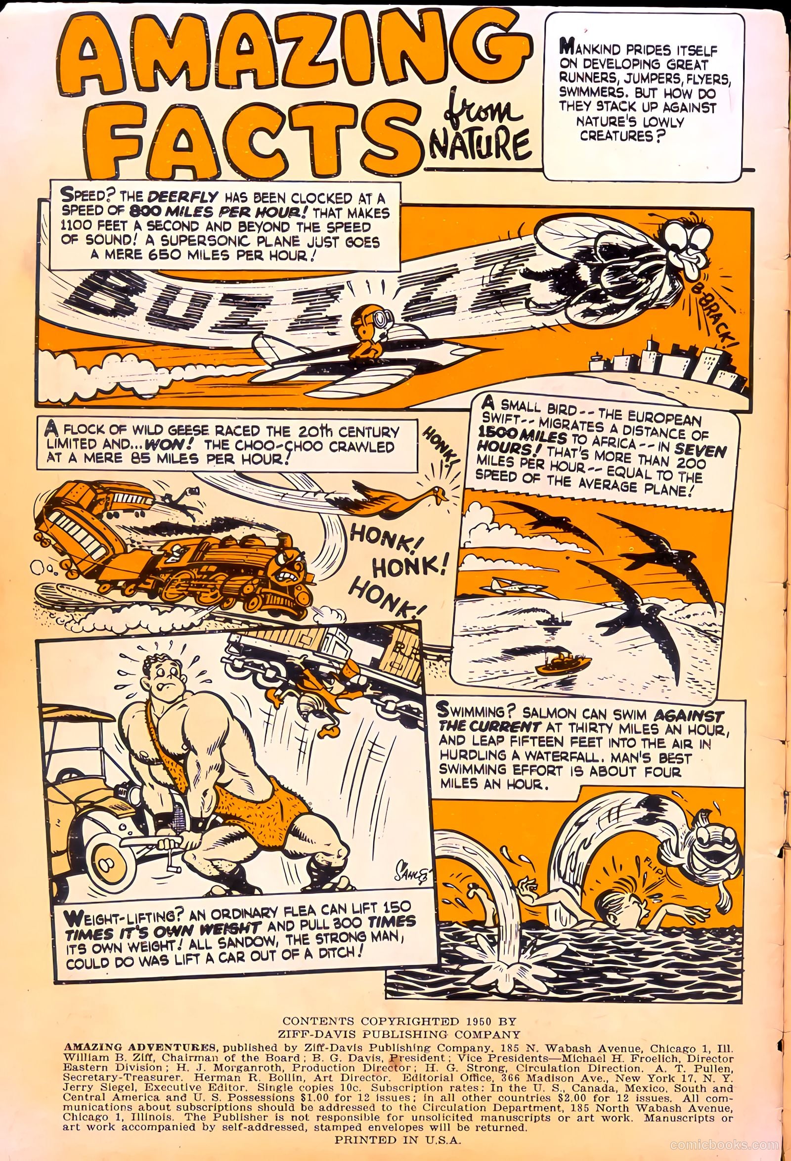 Amazing Adventures #1 (1950) — page 2