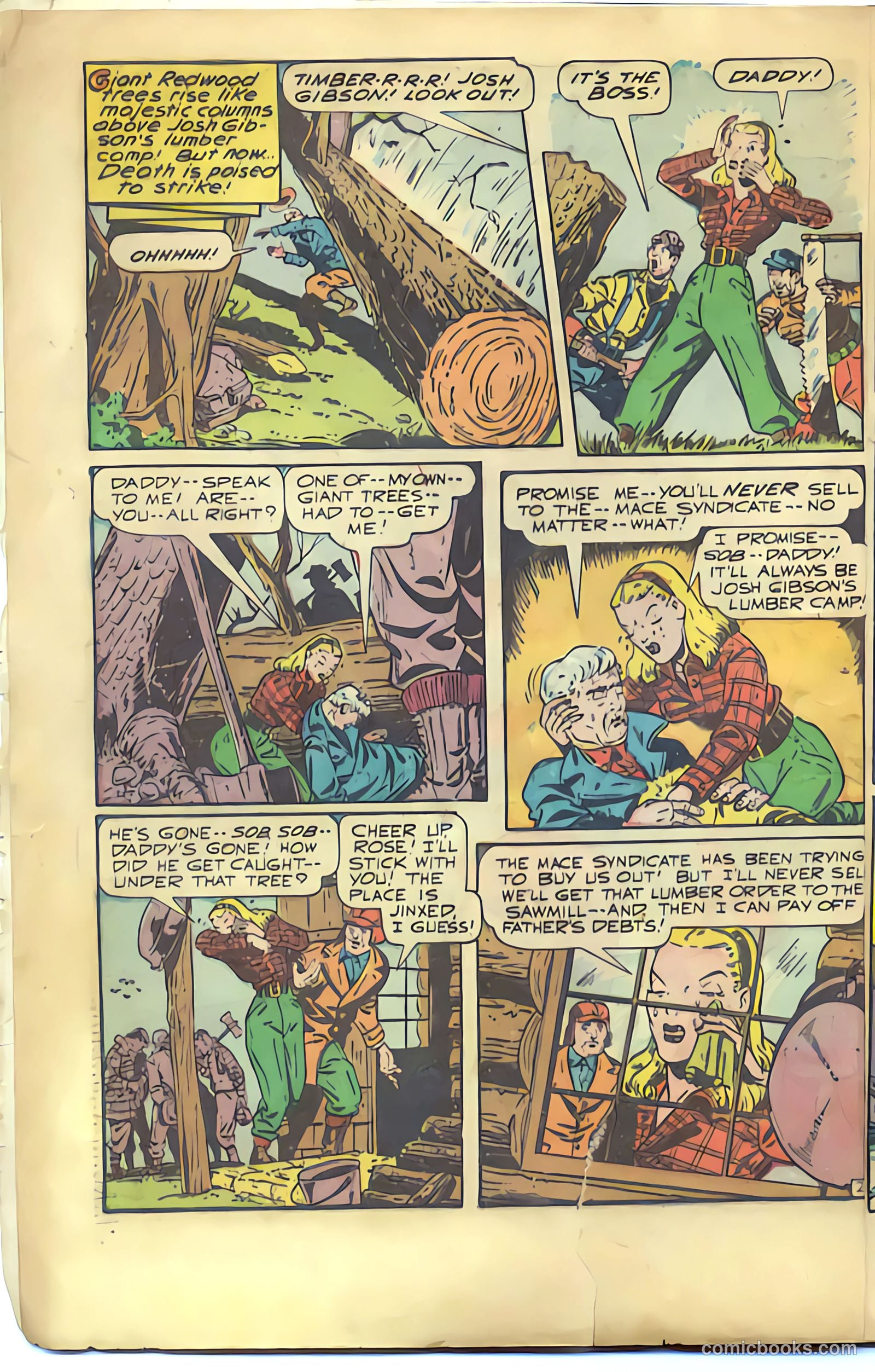 America's Best Comics #21 (1947) — page 5 of 50