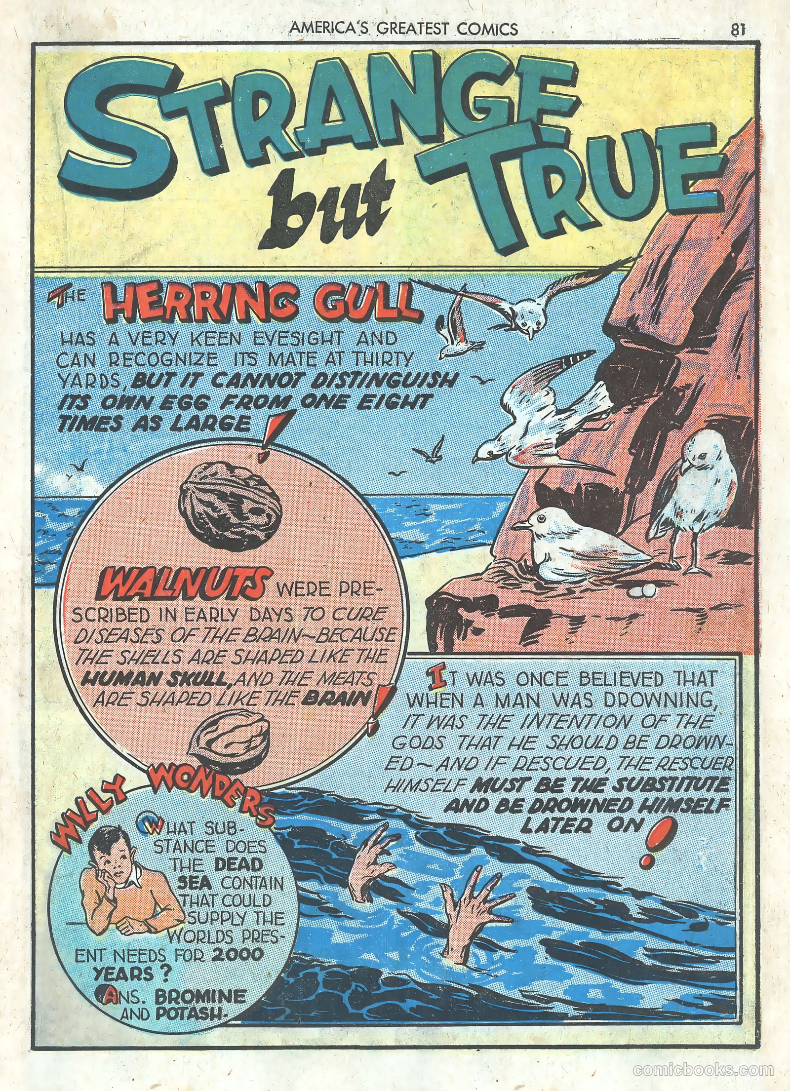 America's Greatest Comics #1 (1941) — page 83