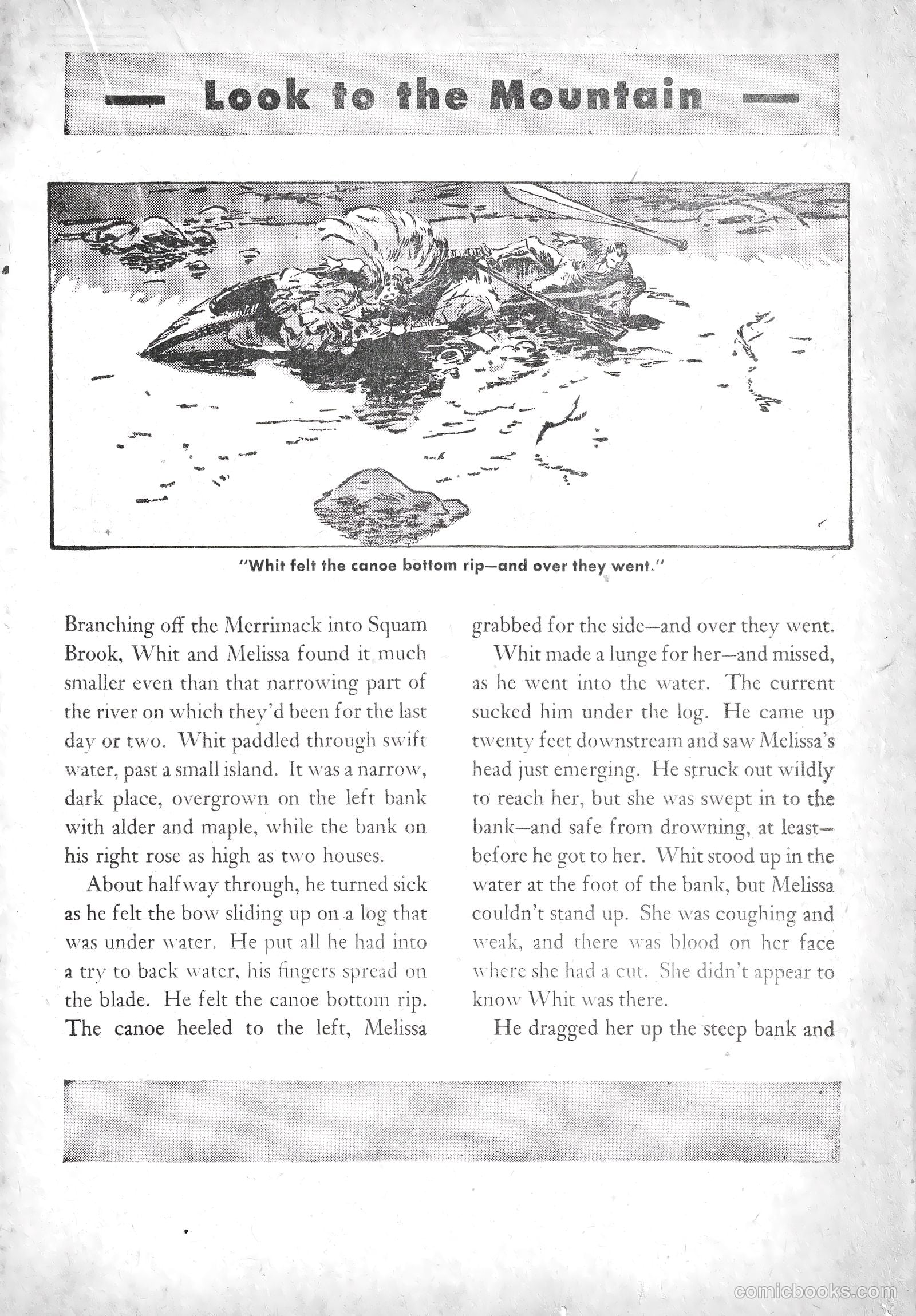 American Library #3 (1942) — page 36