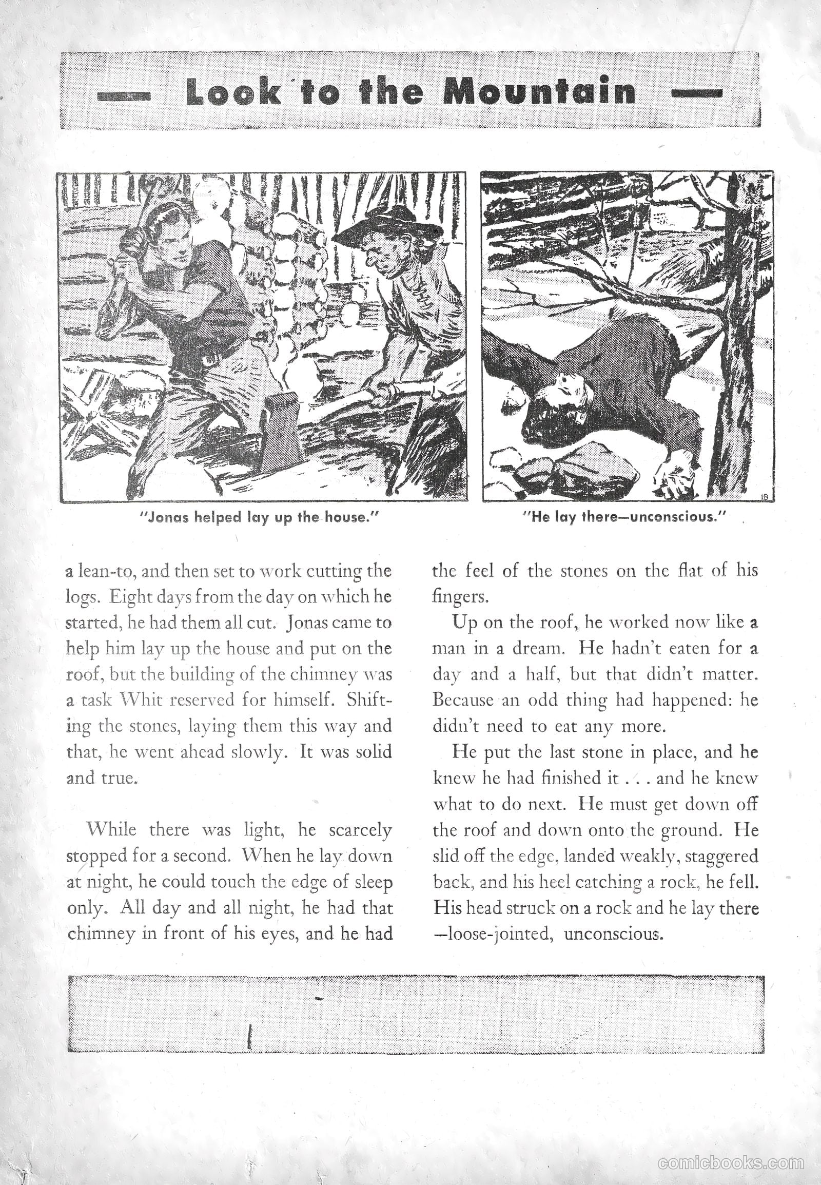American Library #3 (1942) — page 41