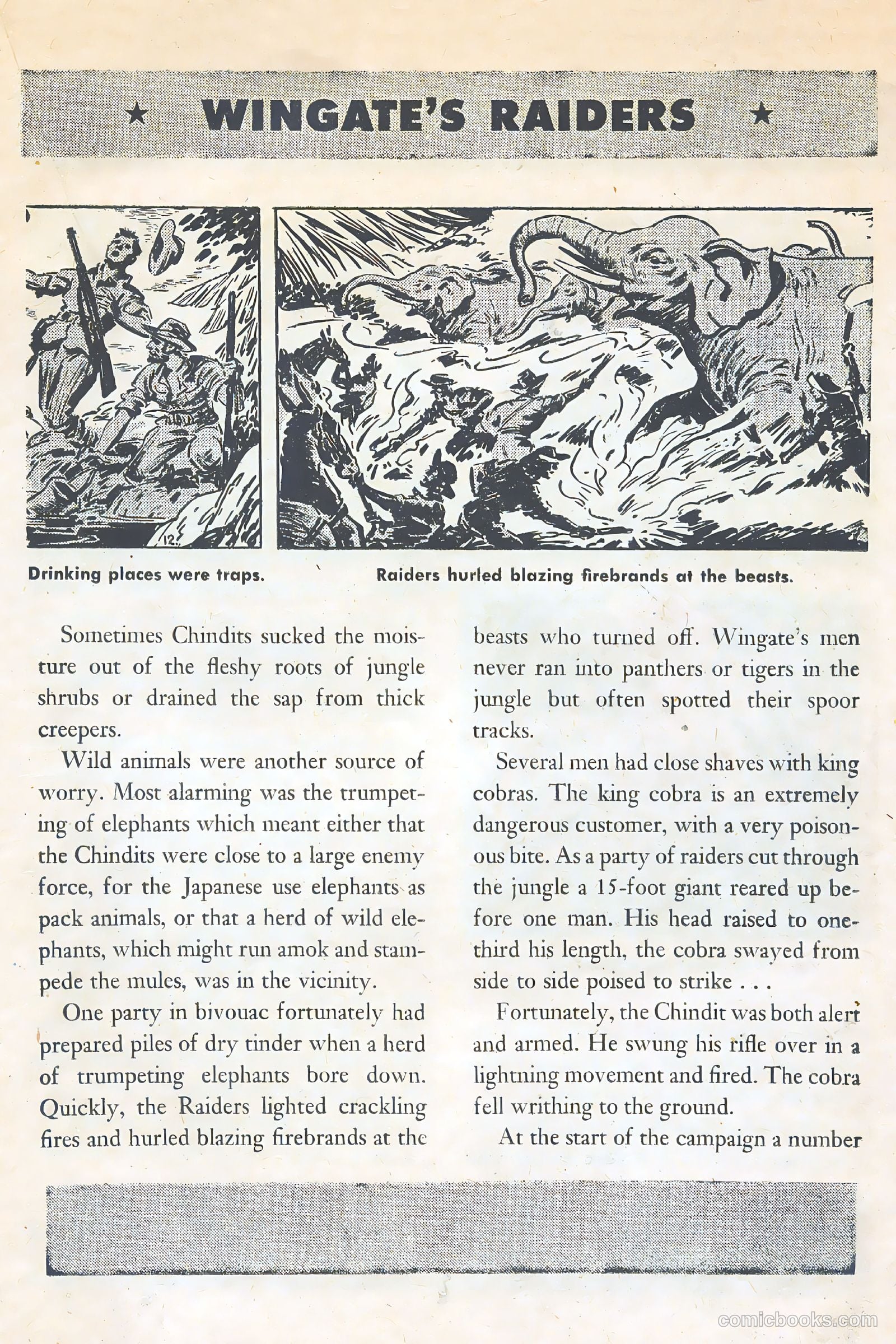 American Library #6 (1944) — page 23