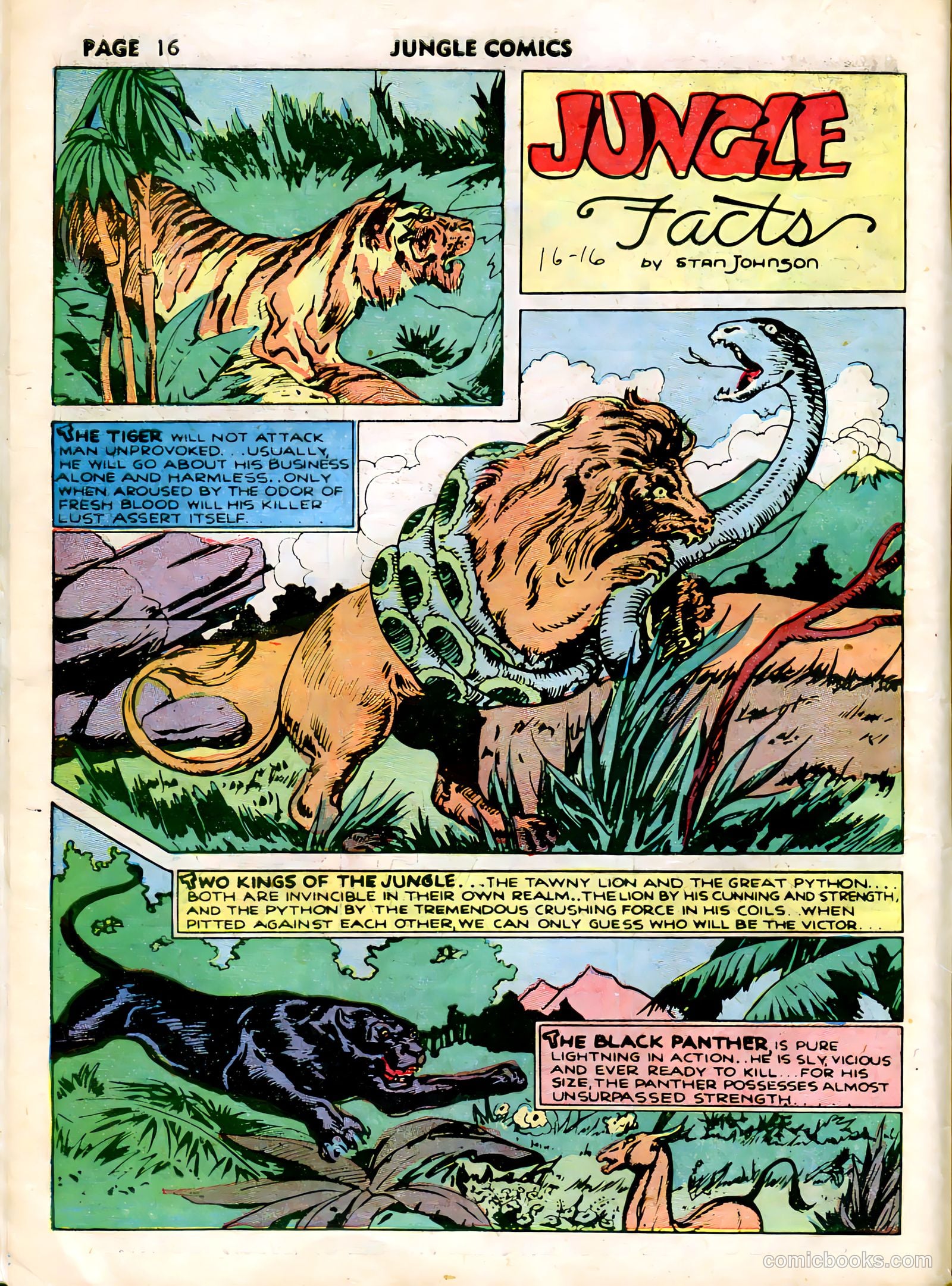 Jungle Comics #15 (1948) — page 19 of 36
