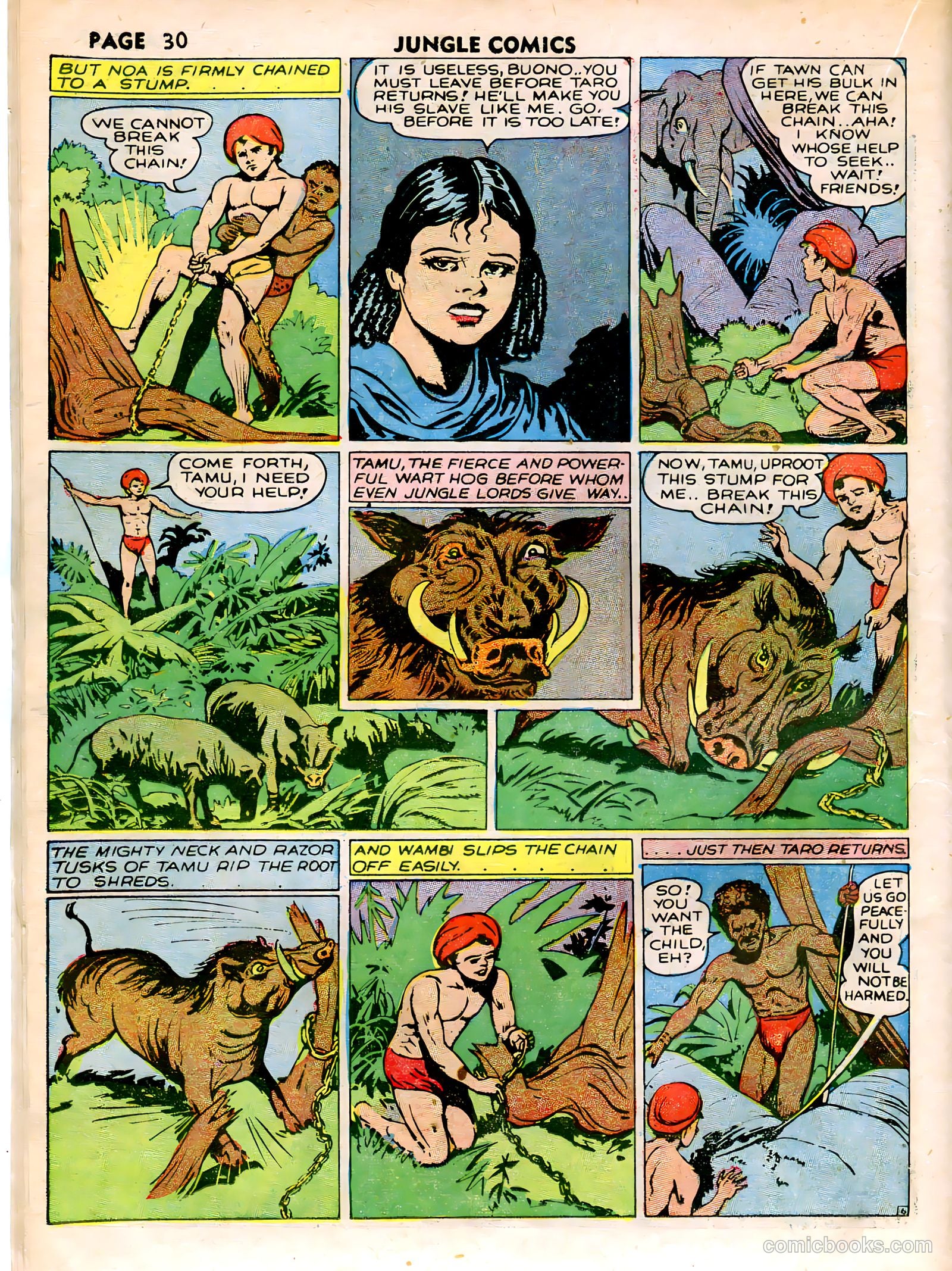 Jungle Comics #15 (1948) — page 33 of 36