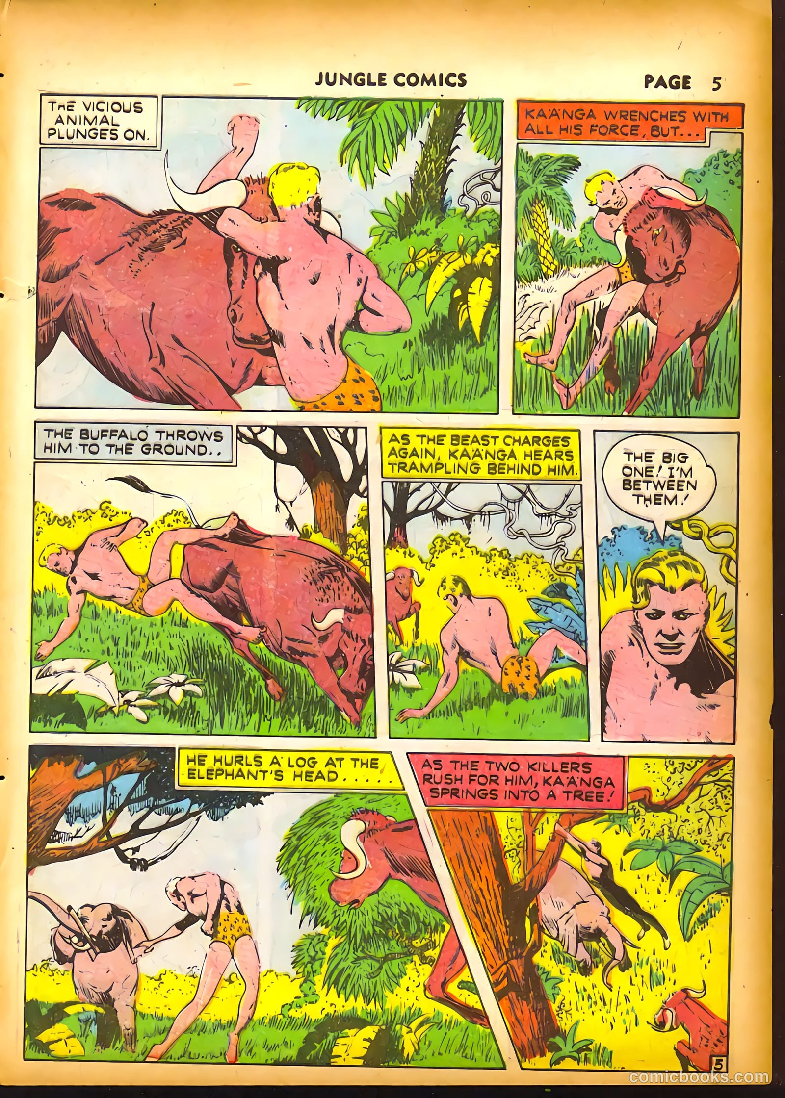 Jungle Comics #19 (1941) — page 7 of 68