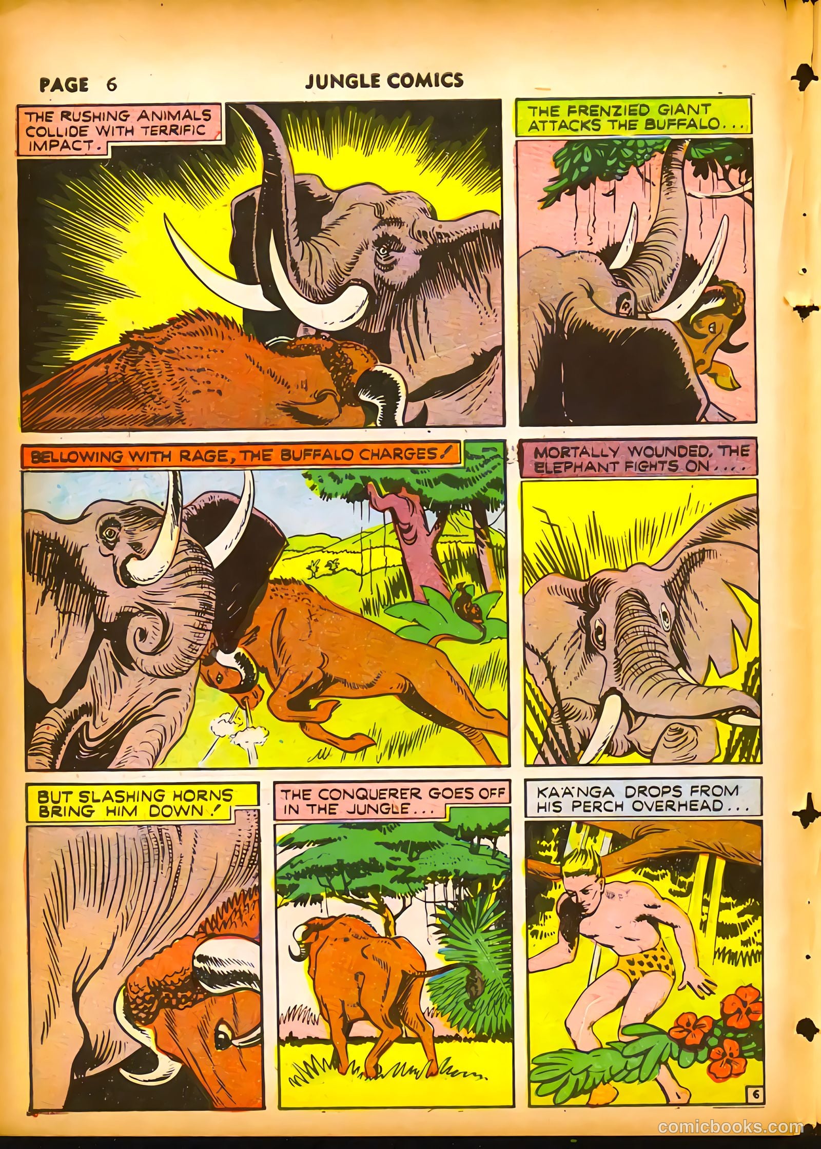 Jungle Comics #19 (1941) — page 8 of 68