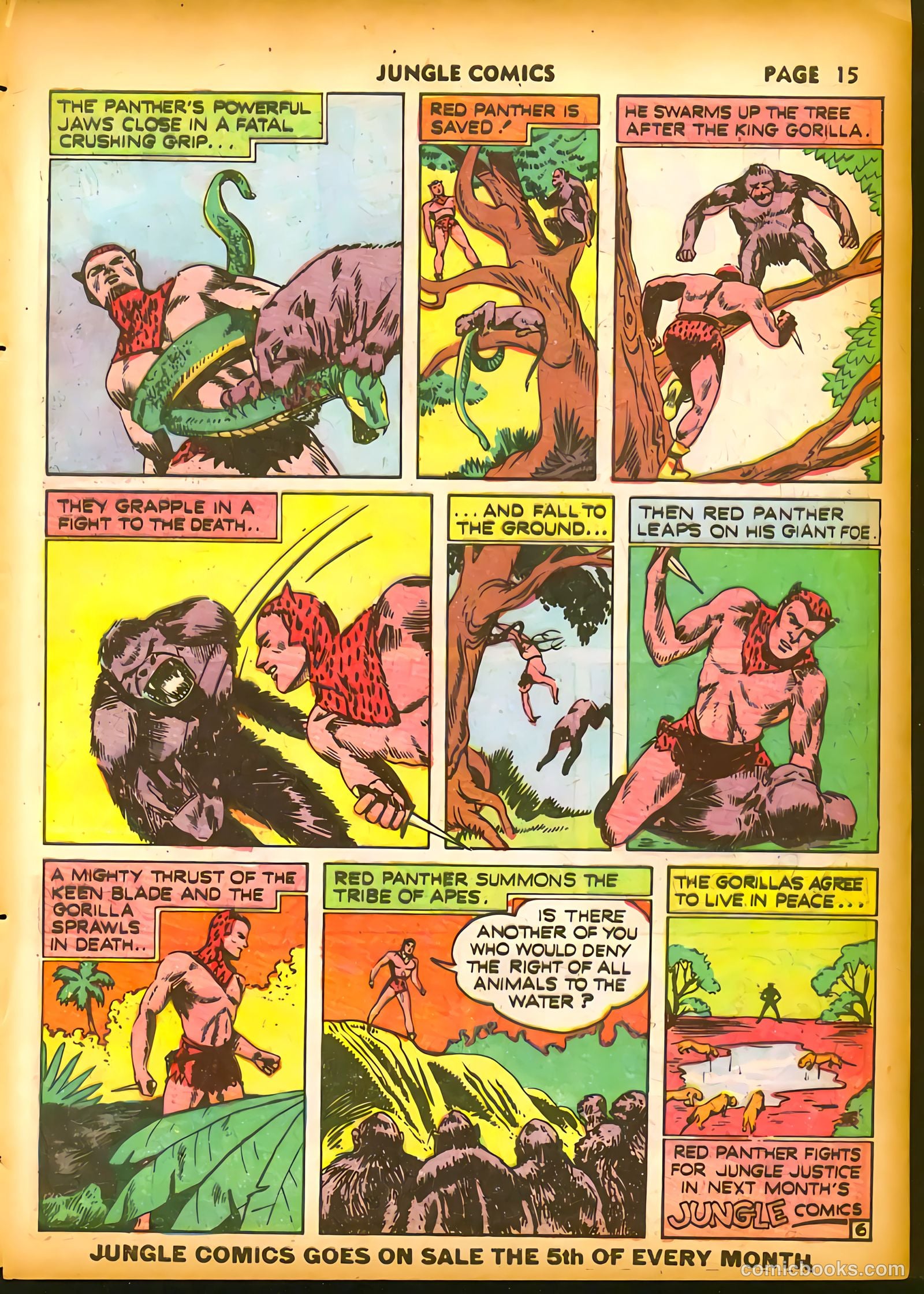 Jungle Comics #19 (1941) — page 17 of 68