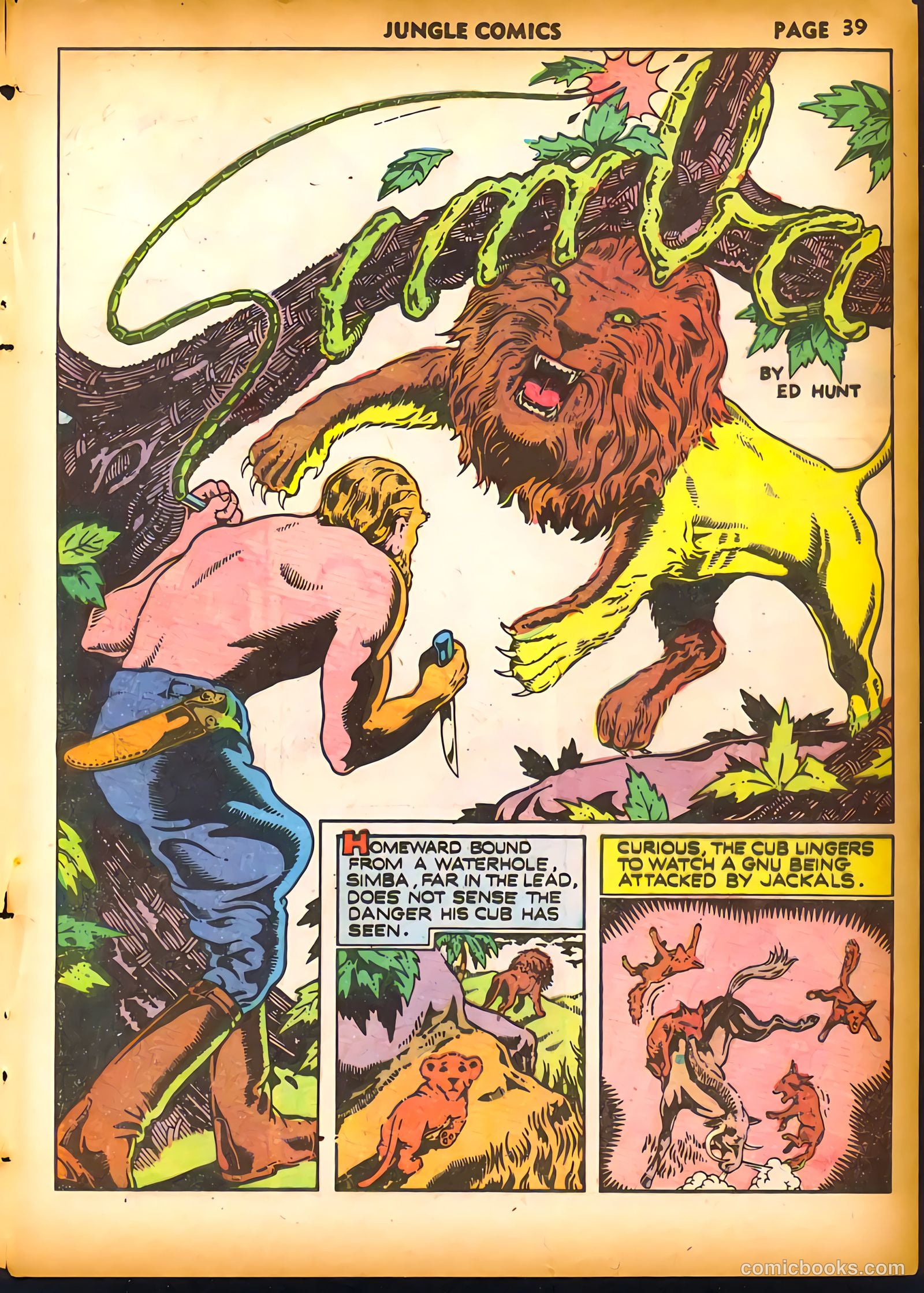 Jungle Comics #19 (1941) — page 41 of 68