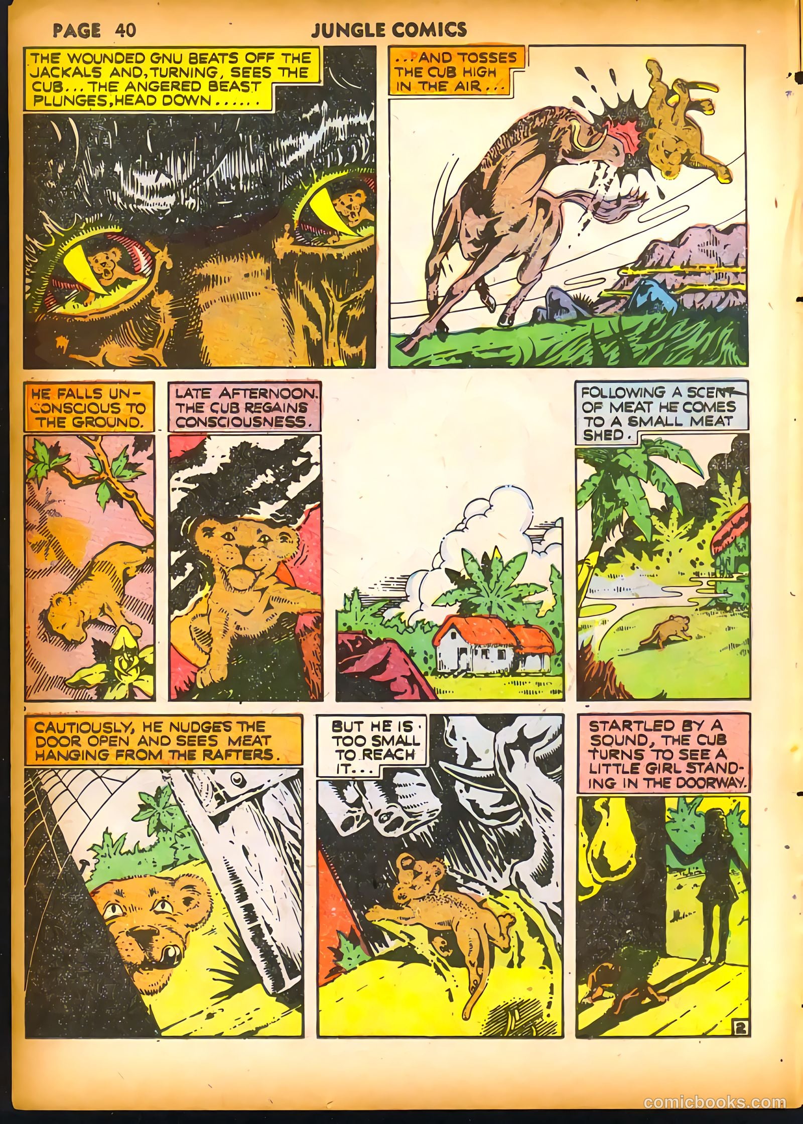 Jungle Comics #19 (1941) — page 42 of 68