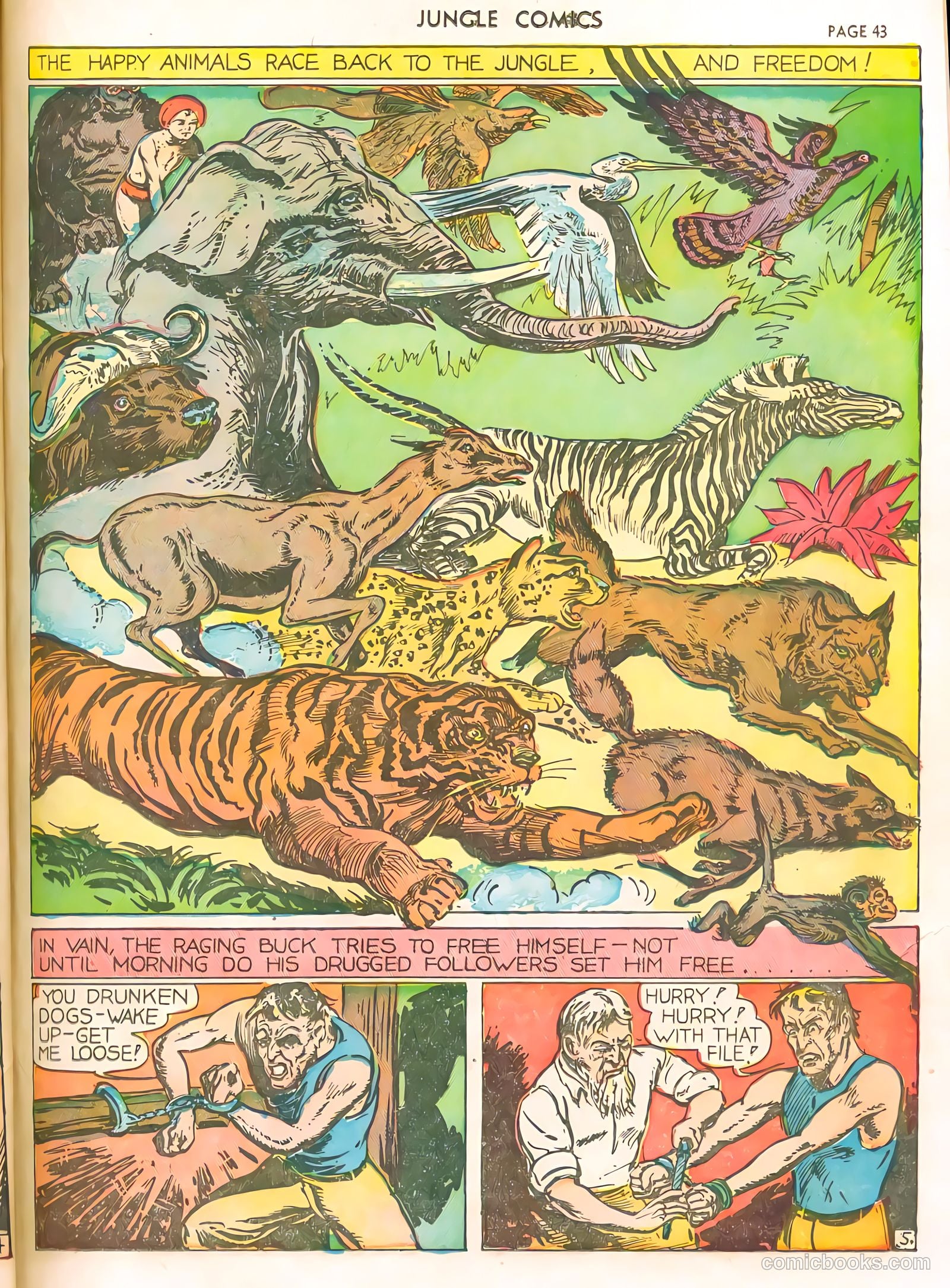 Jungle Comics #4 (1940) — page 46 of 67