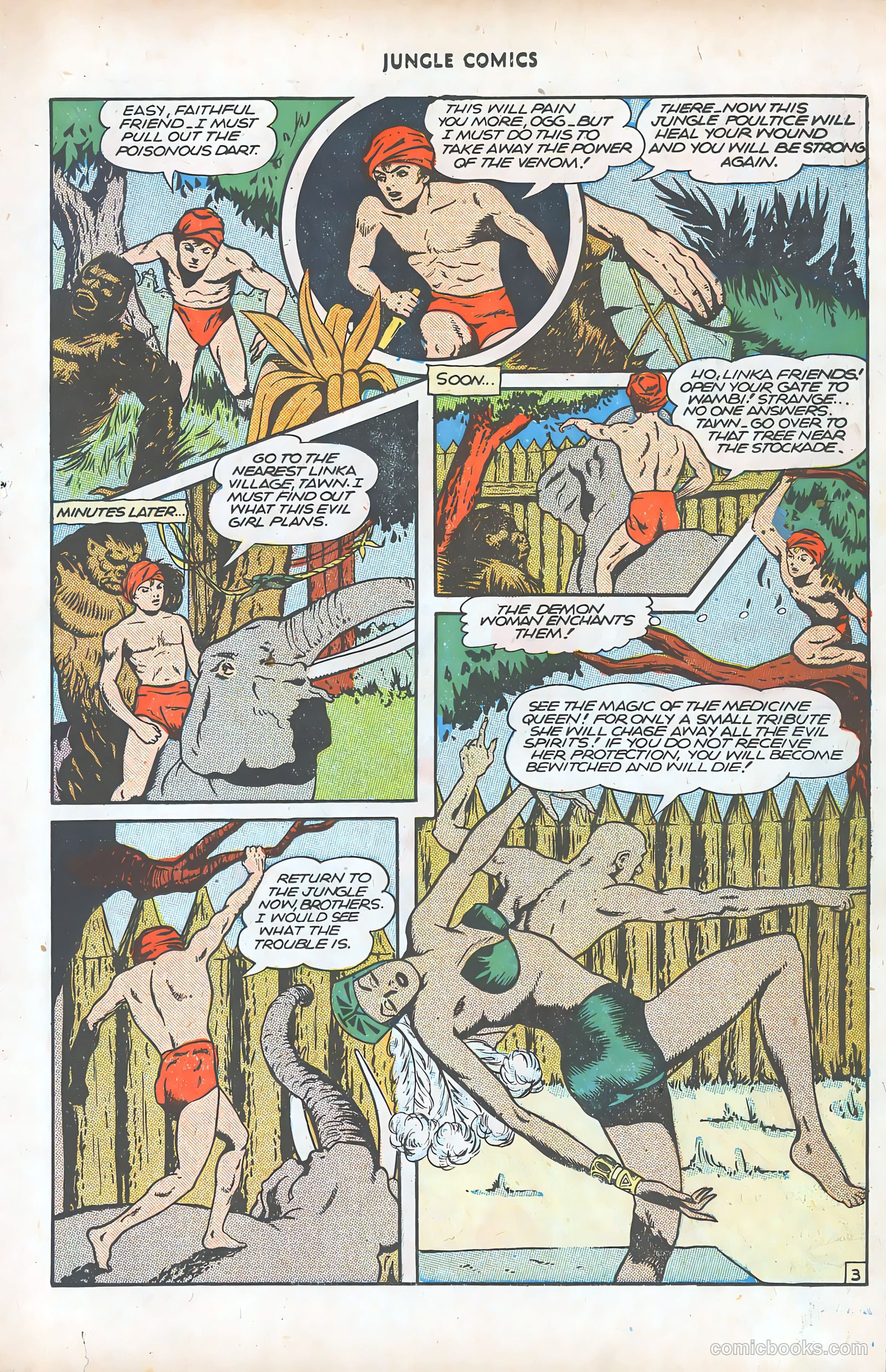Jungle Comics #77 (1946) — page 23 of 52