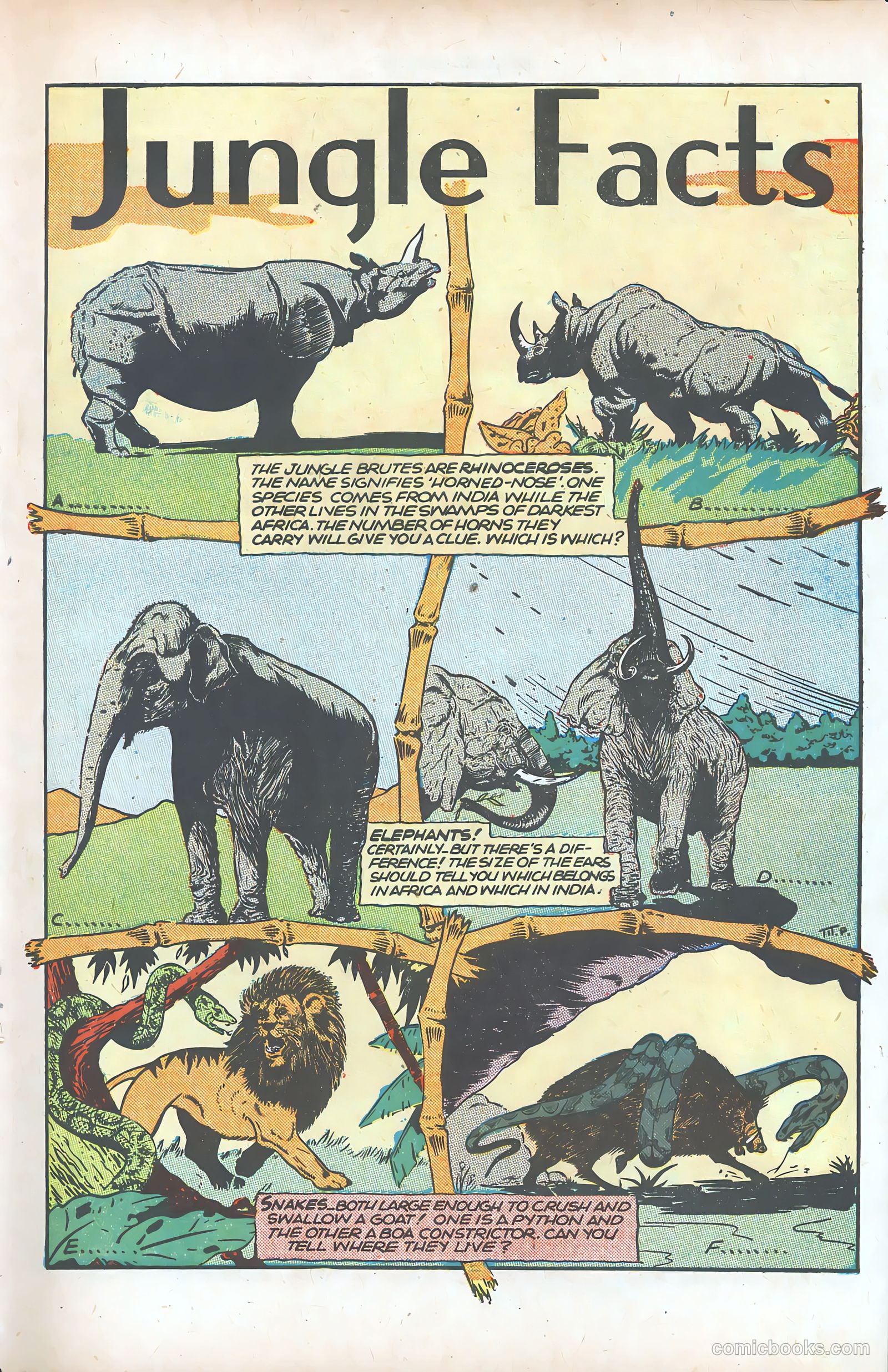 Jungle Comics #77 (1946) — page 41 of 52
