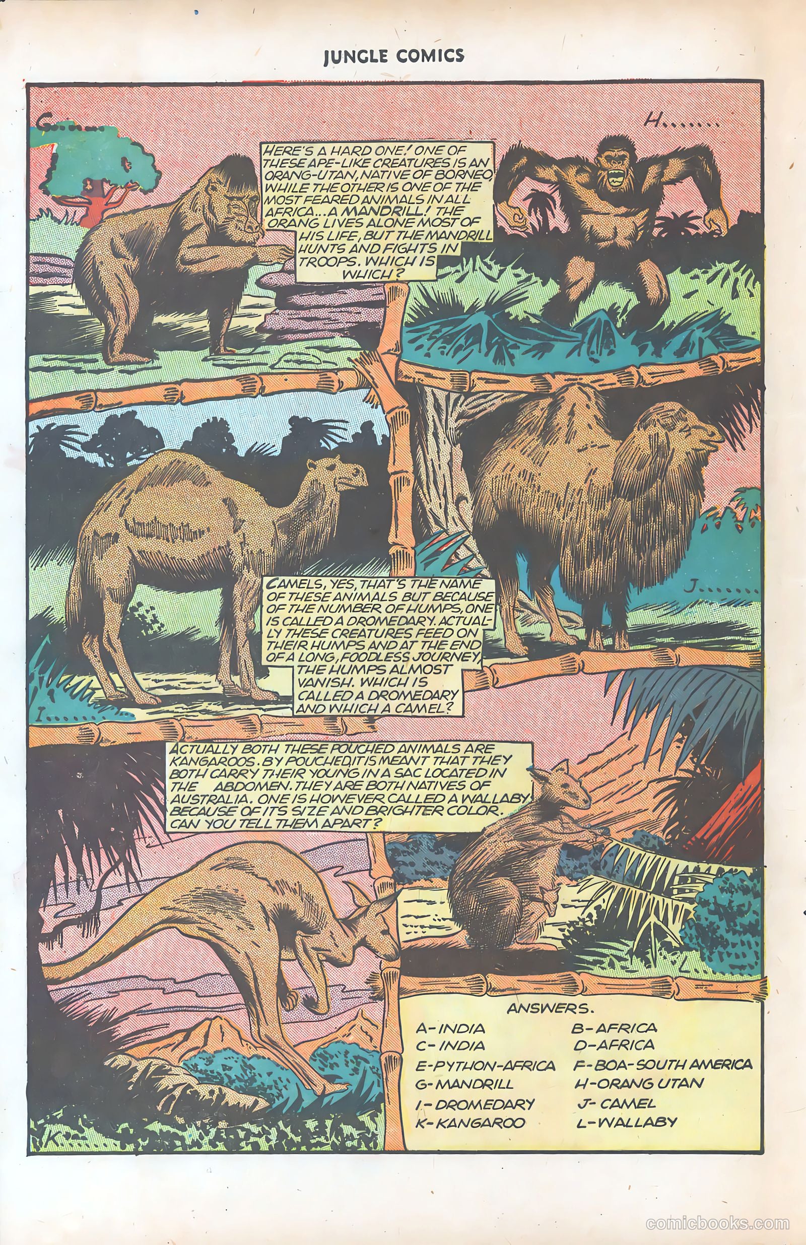 Jungle Comics #77 (1946) — page 42 of 52