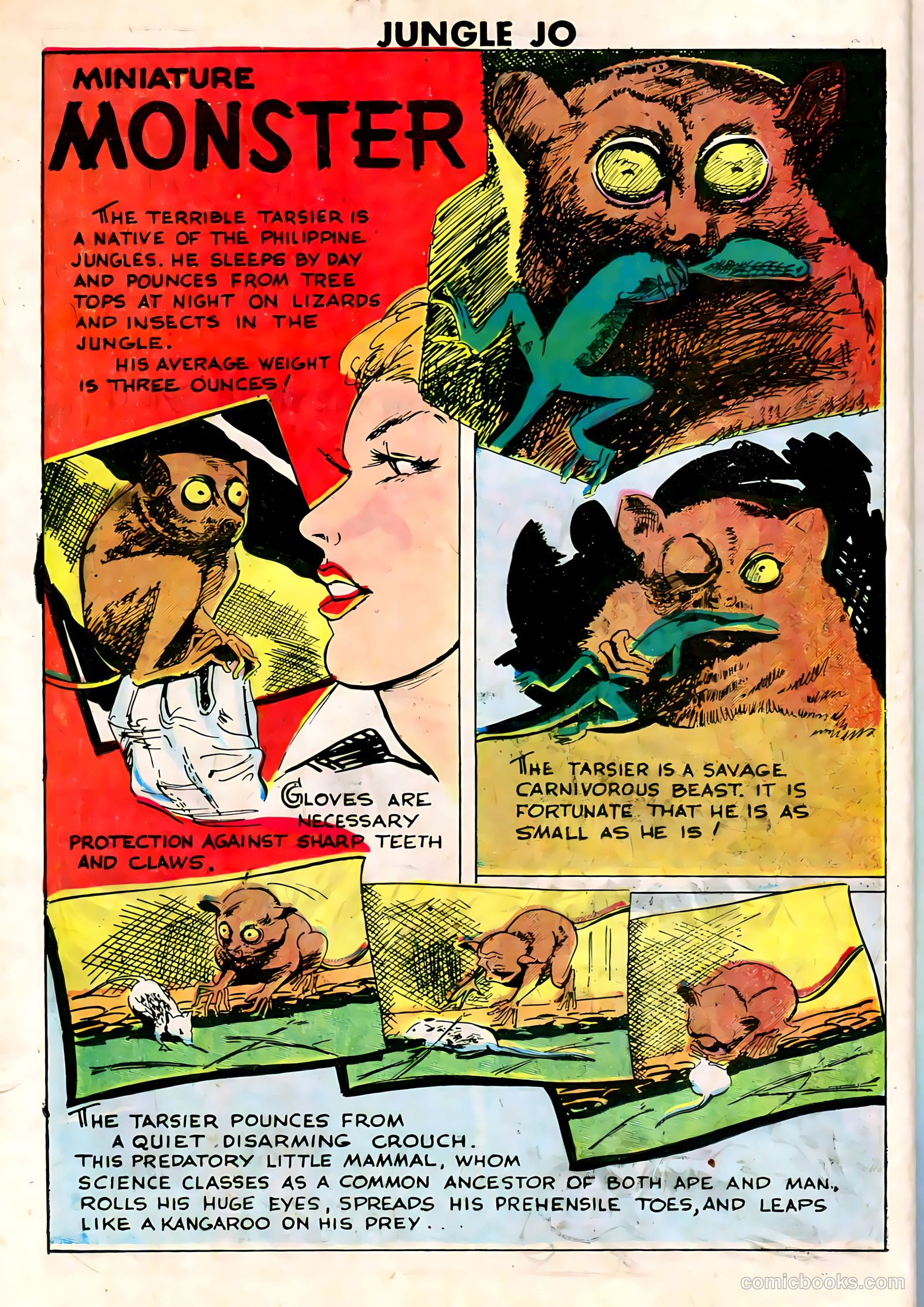Jungle Jo #3 (1950) — page 12 of 32